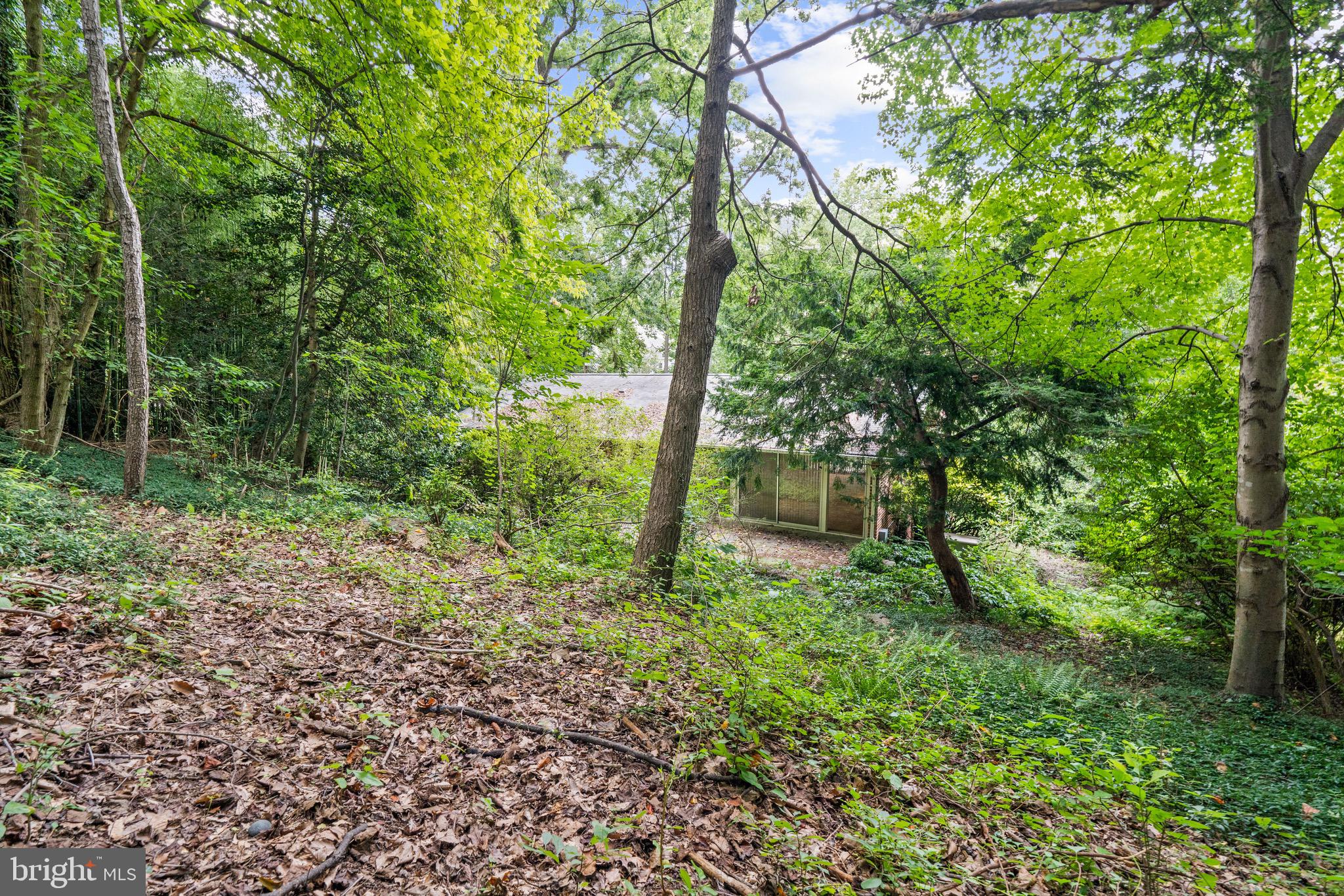 FLINT HILL - Residential