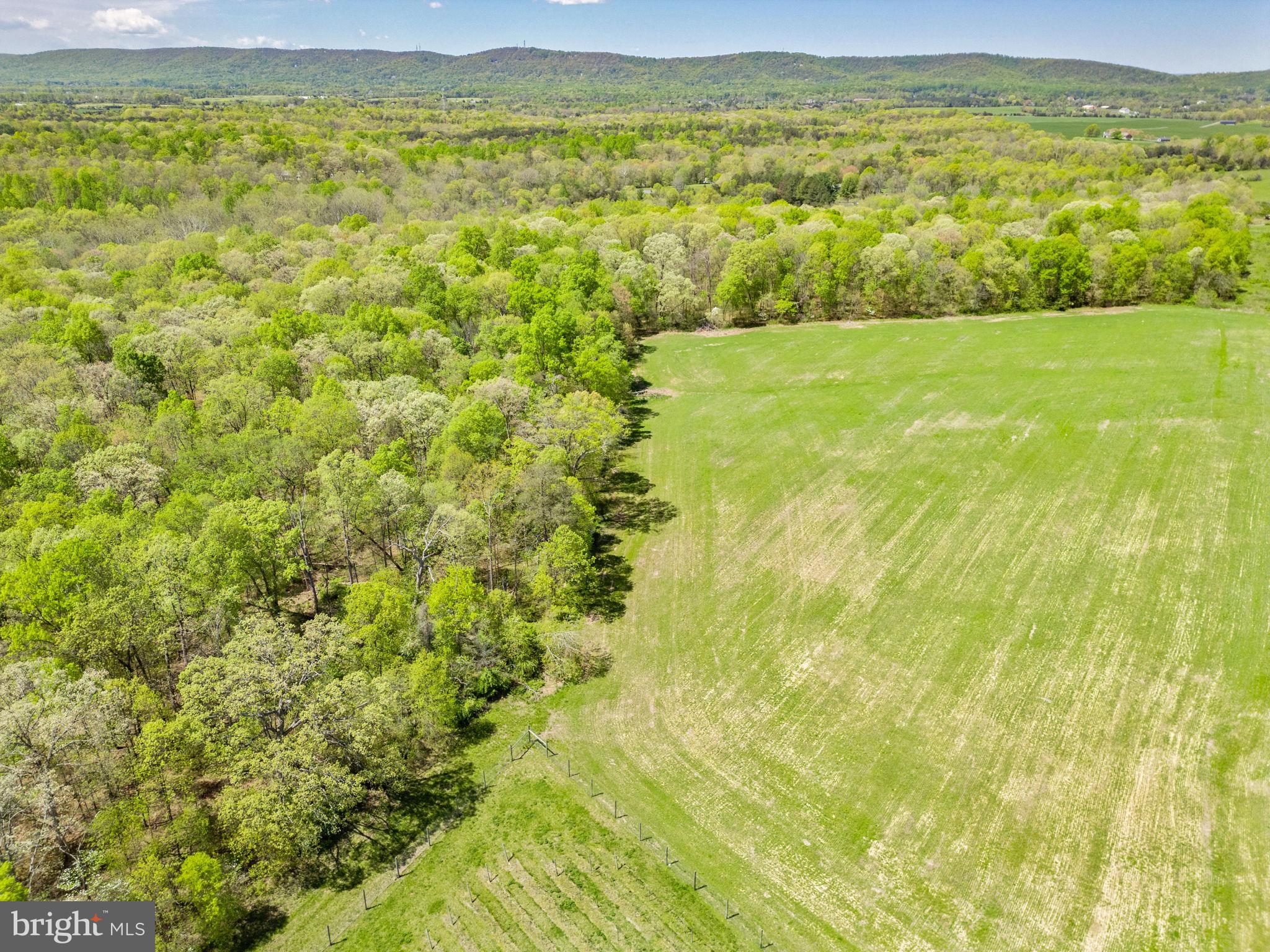 WILLOWSFORD - THE GREENS - Residential