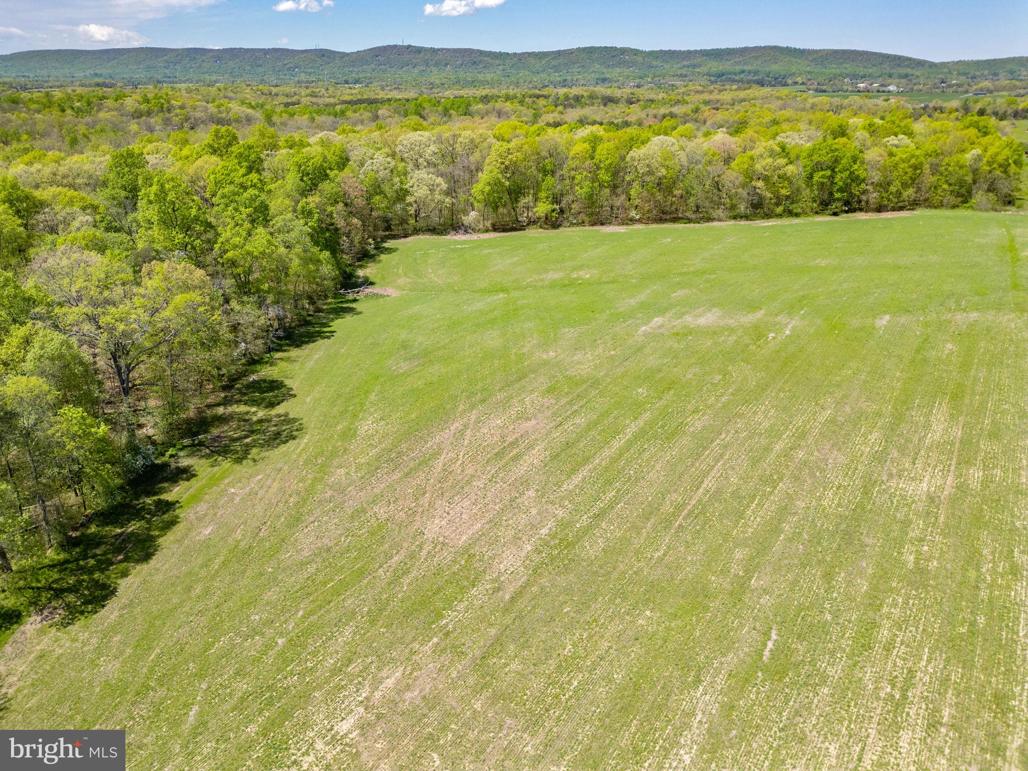 WILLOWSFORD - THE GREENS - Residential