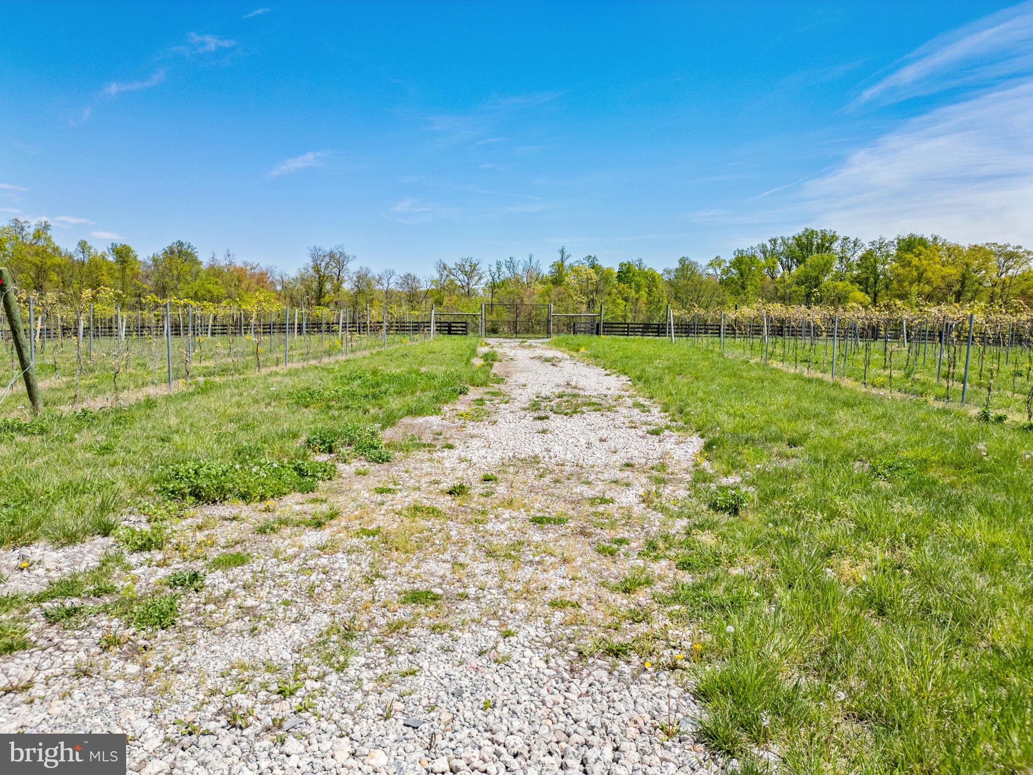 WILLOWSFORD - THE GREENS - Residential