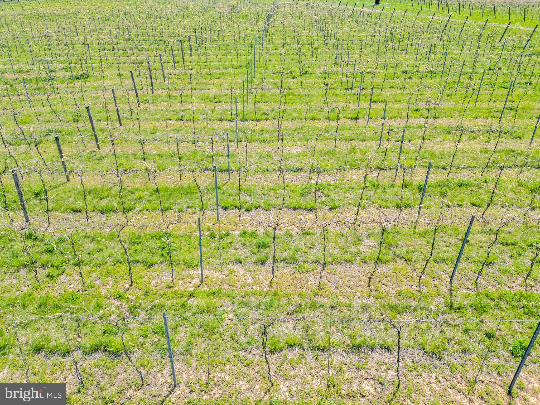 WILLOWSFORD - THE GREENS - Residential