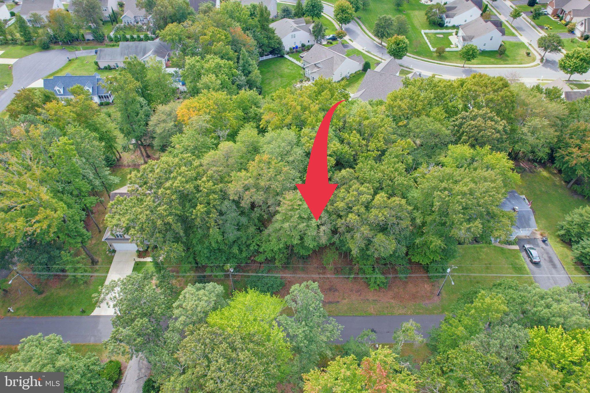 14 HOLLY LANE