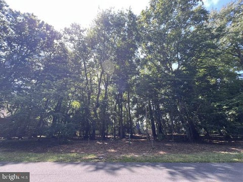 Vacant Land For Sale - 14 Holly Lane<br/> OCEAN VIEW, DE 19970
