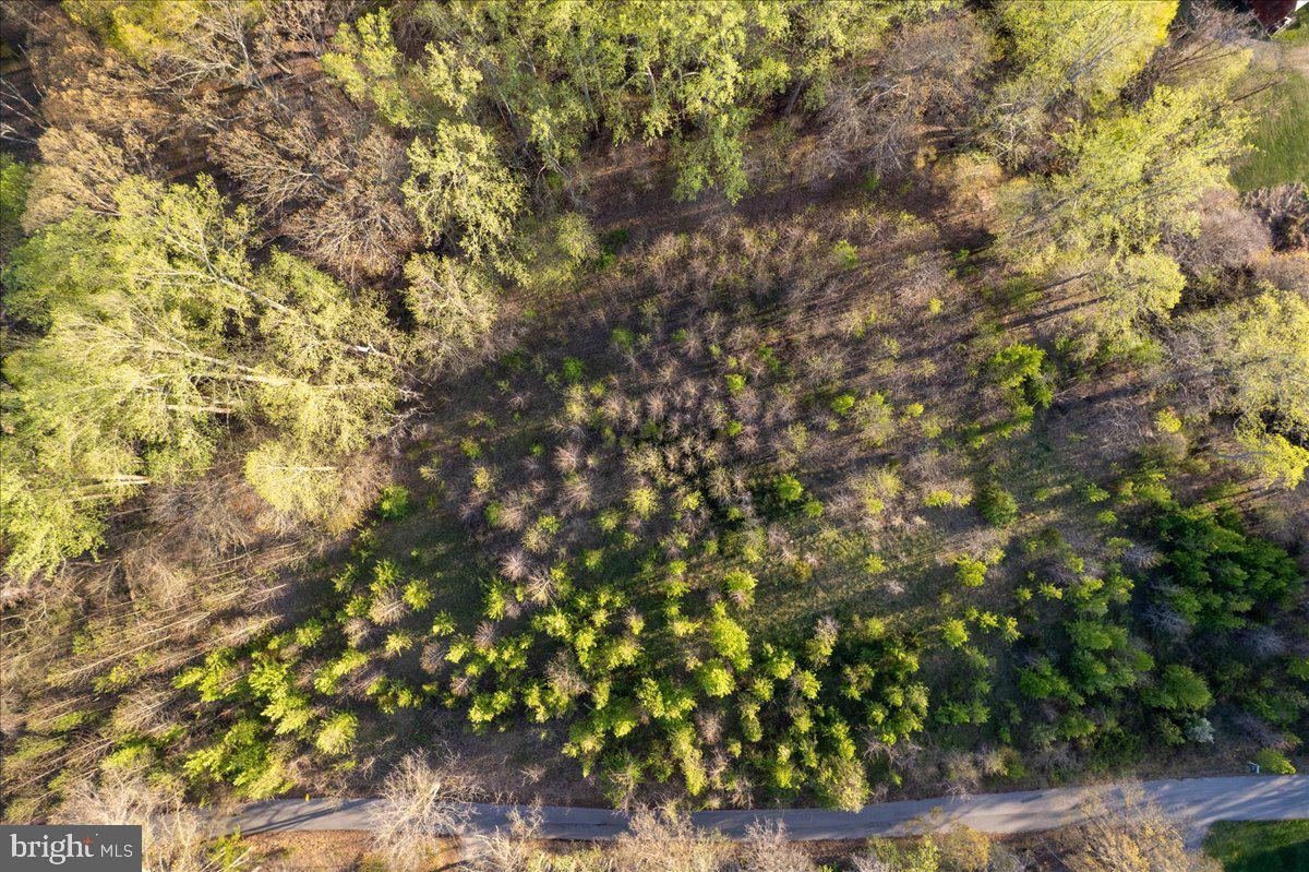 15551 BROOKS CHURCH ROAD