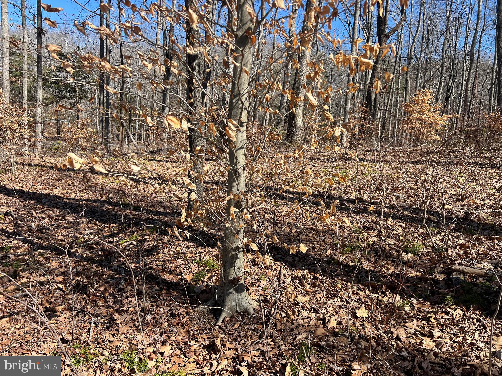 LIGHTHOUSE POINT - Land