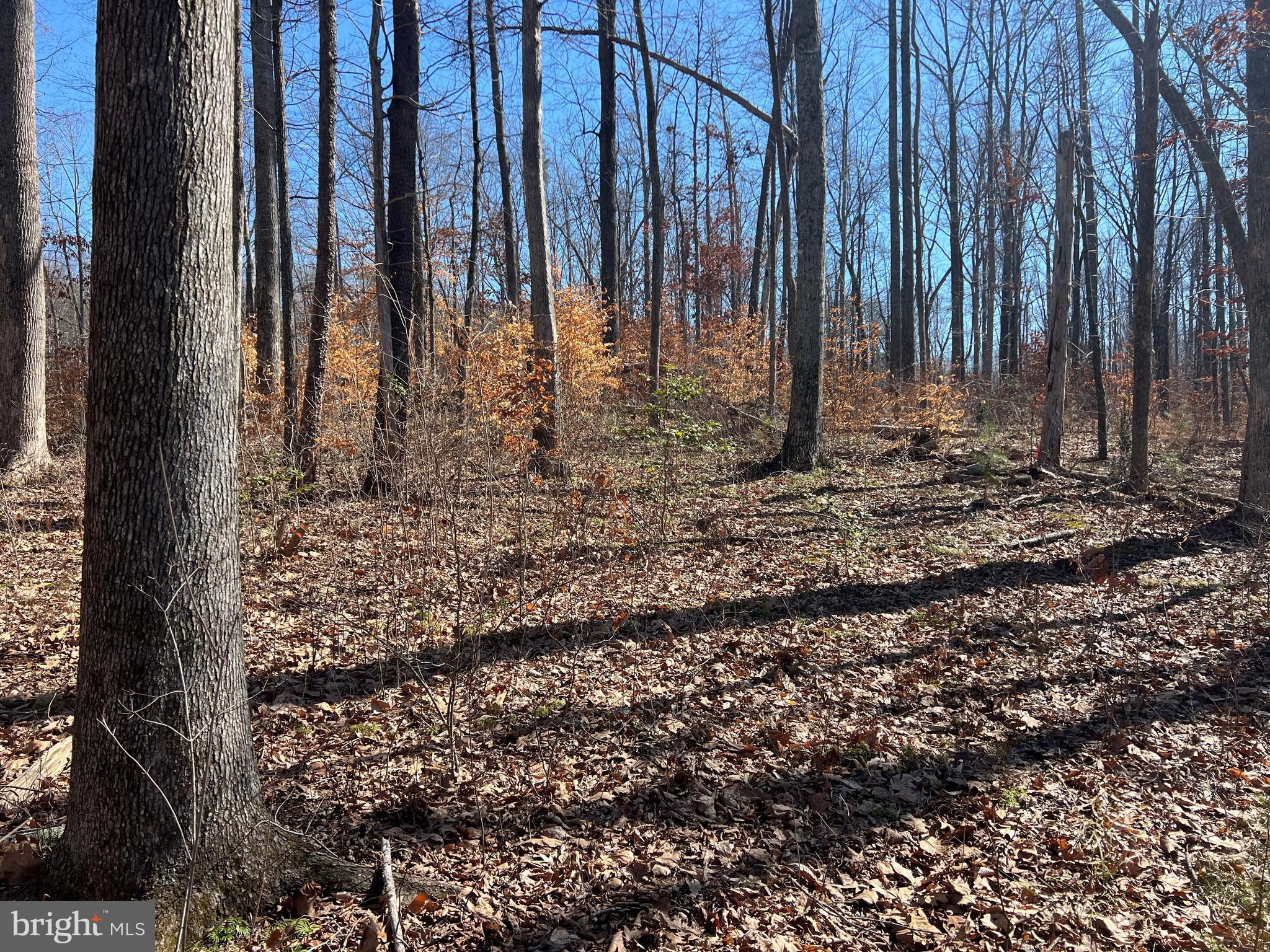 LIGHTHOUSE POINT - Land