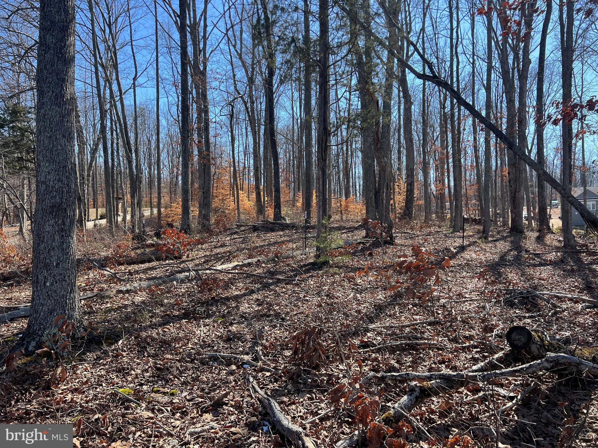 LIGHTHOUSE POINT - Land