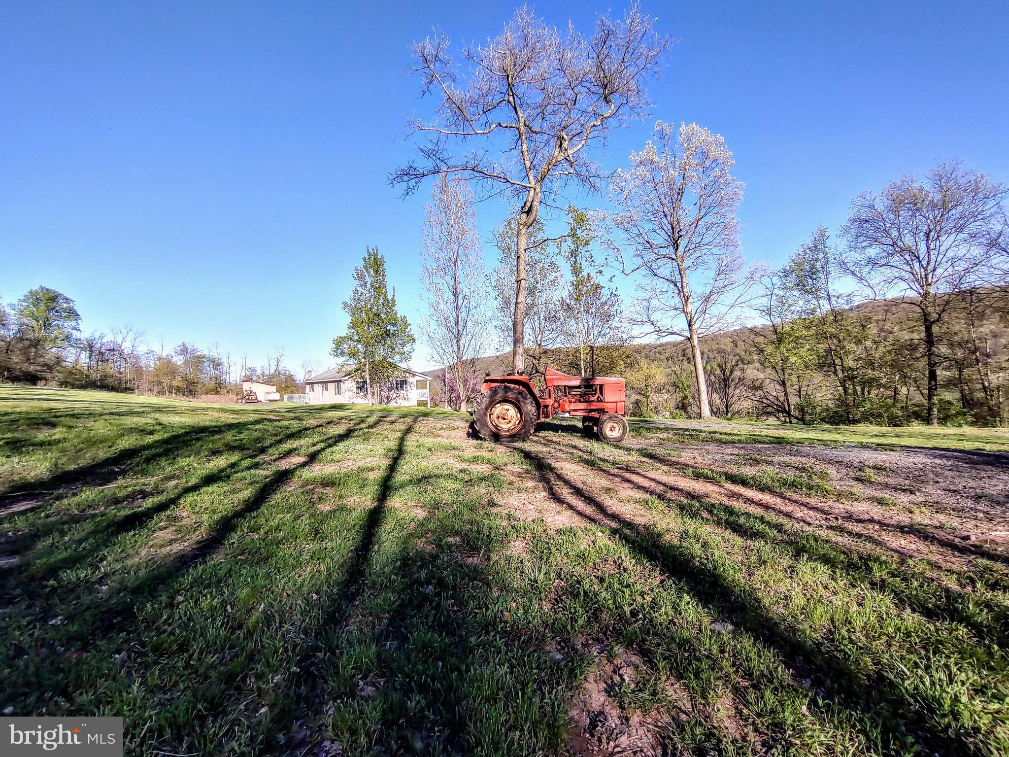 NONE AVAILABLE - Farm