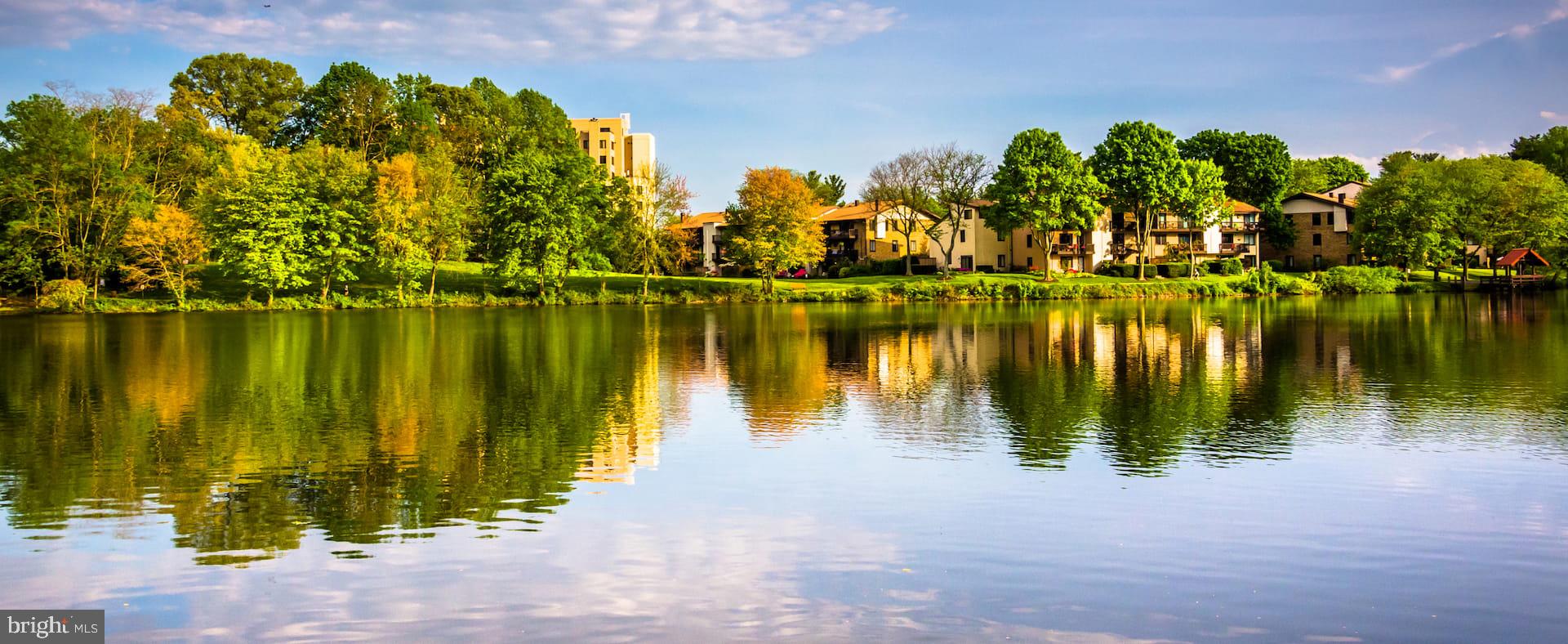 LONG MEADOW - Residential