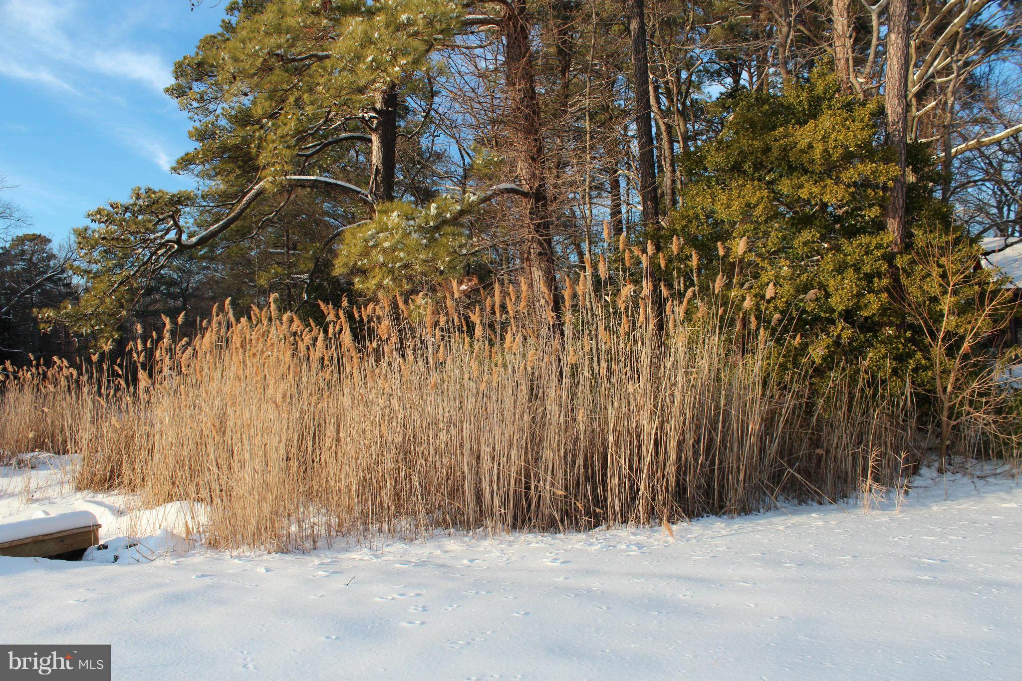 COBB ISLAND - Residential