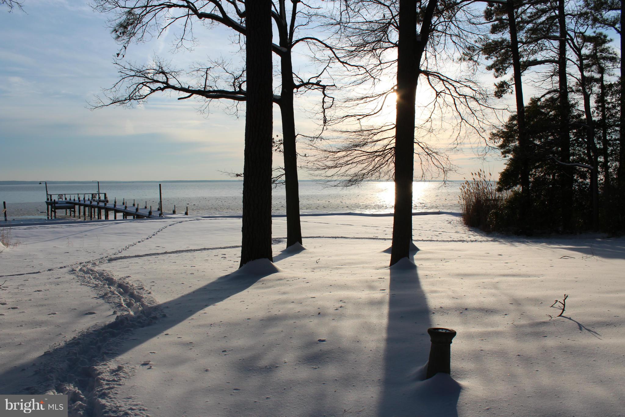 COBB ISLAND - Residential
