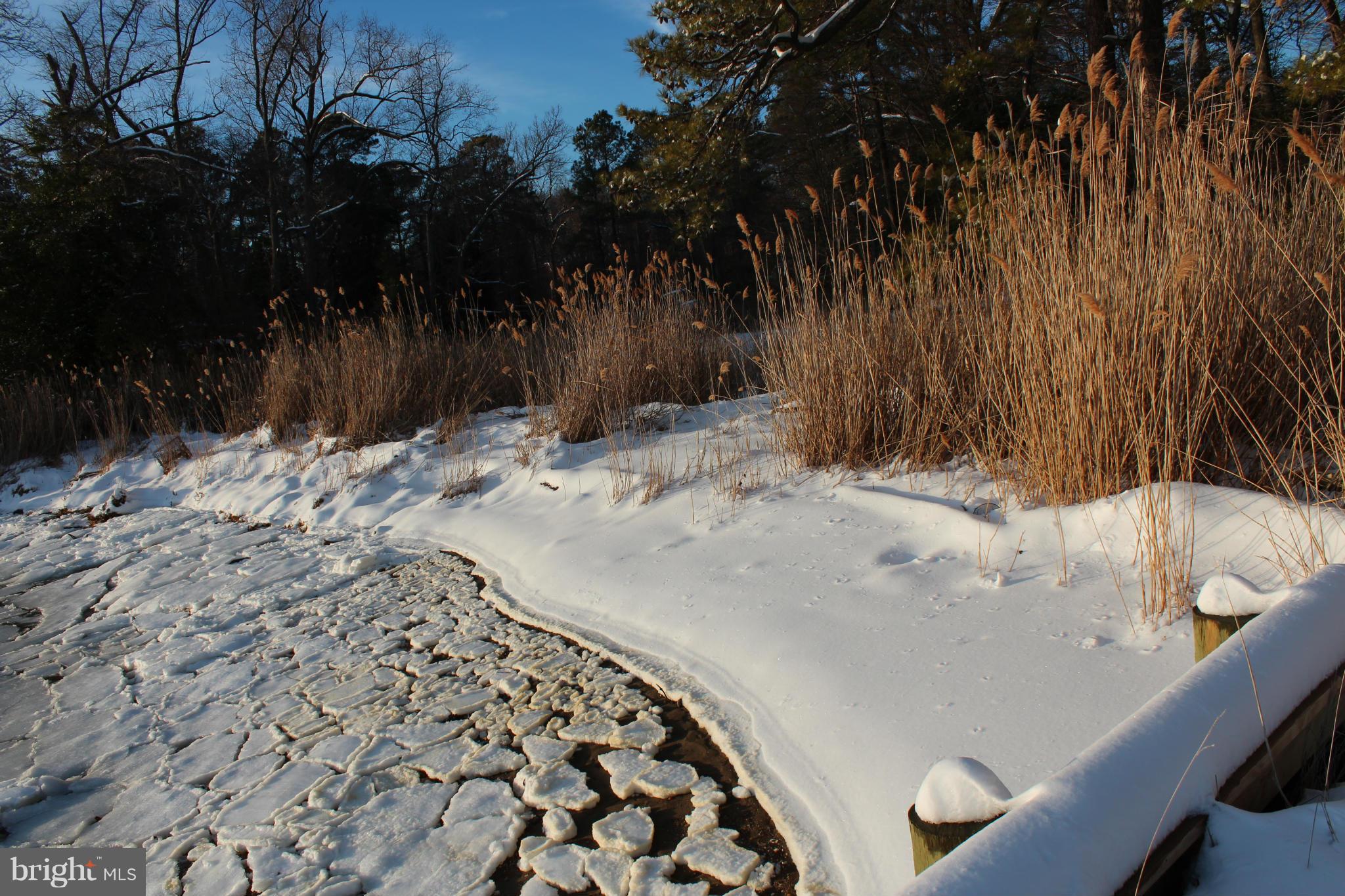 COBB ISLAND - Residential