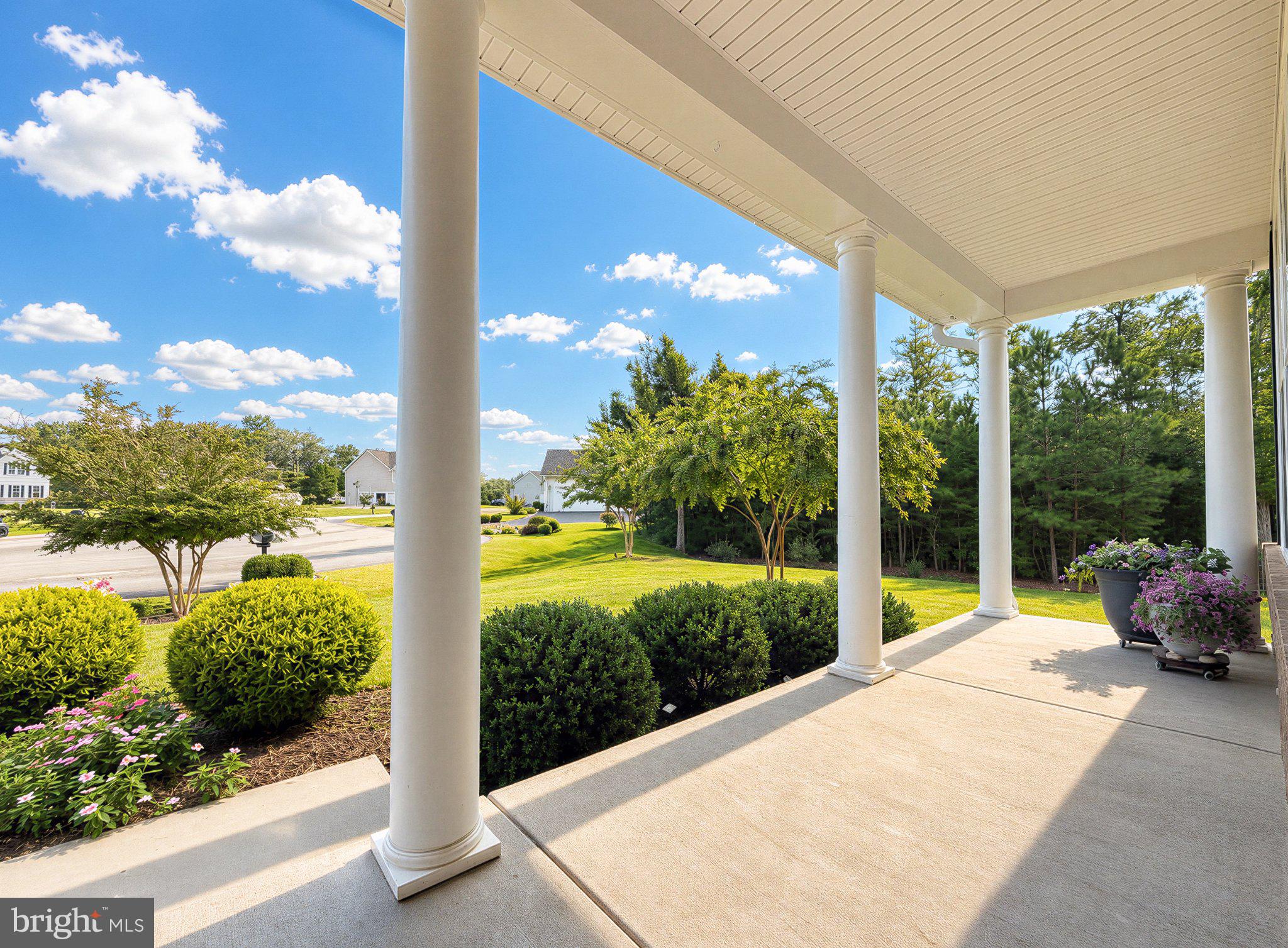 40319 FESTOON COURT