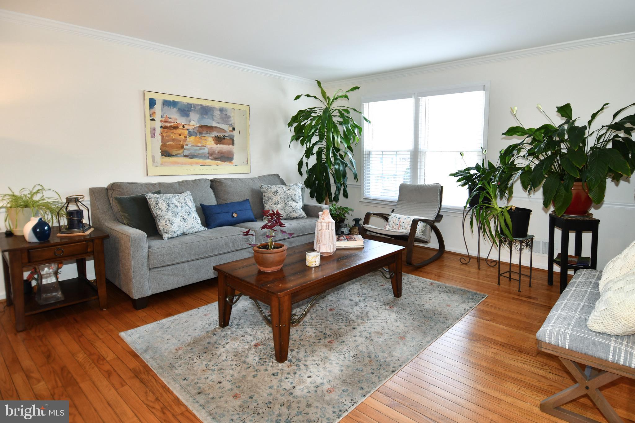 35 COUNTY COURT 18-8