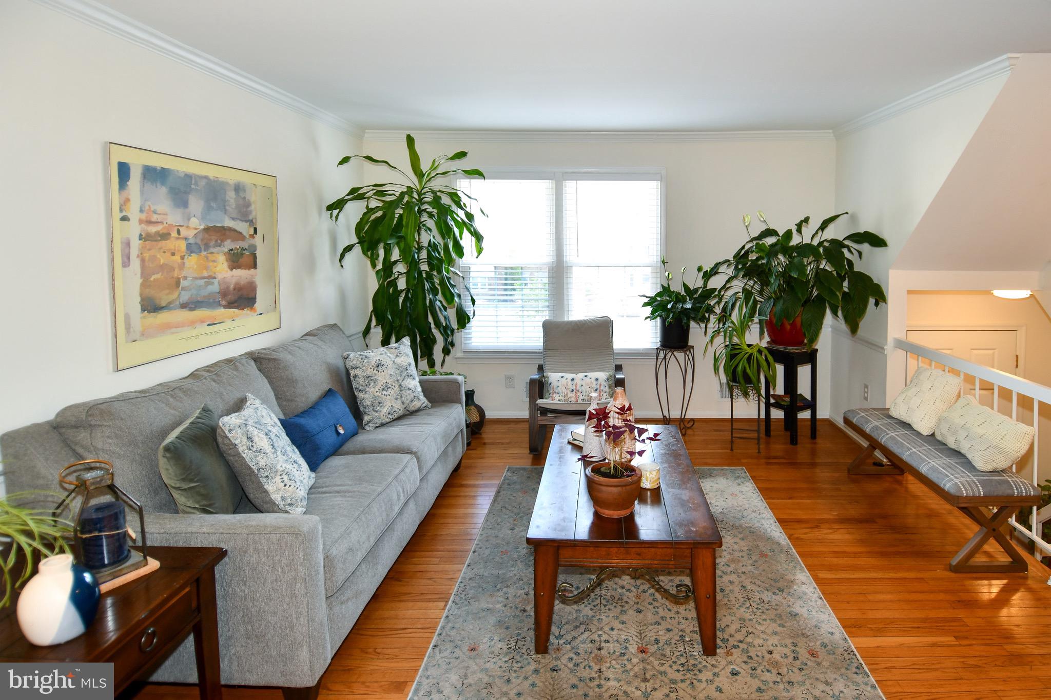 35 COUNTY COURT 18-8