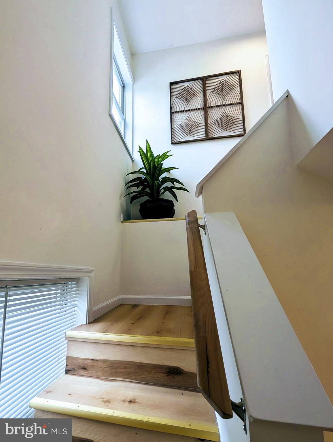 FREDERICK HISTORIC DISTRICT - Residential