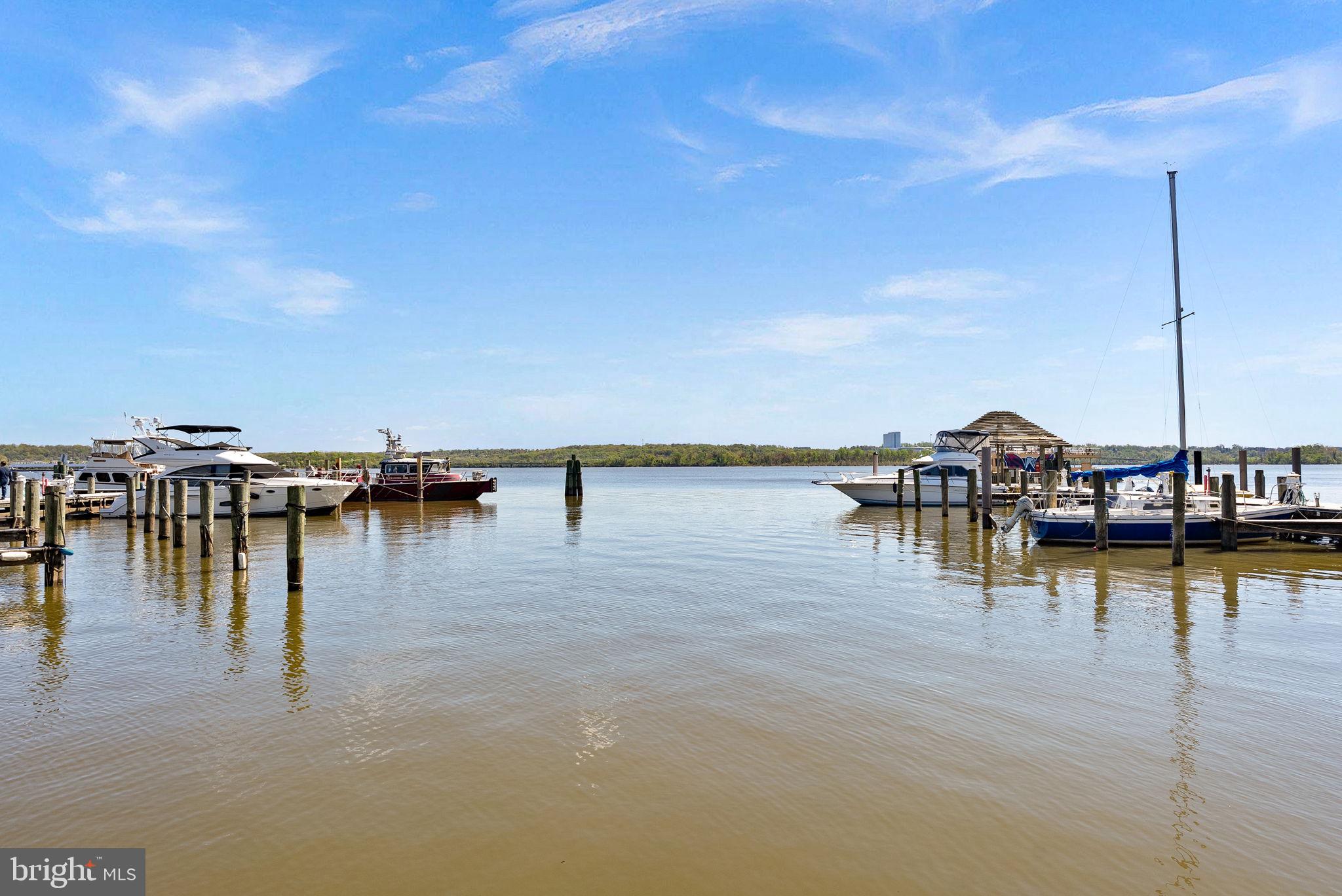OLD TOWN ALEXANDRIA - Residential