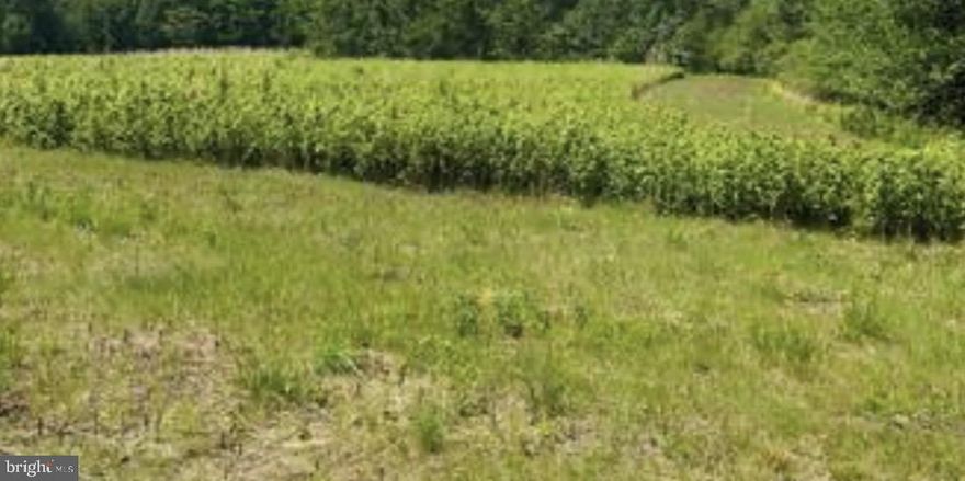 Discover this expansive 4.43-acre parcel of land, where endless possibilities await! Nestled in a serene setting, this property offers ample space  Imagine waking up to the tranquility of nature, with room to roam, garden, or create your own outdoor oasis. This lot provides the ideal backdrop for your lifestyle, allowing for privacy and the freedom to design your perfect sanctuary. Embrace the opportunity to create your own paradise, all while enjoying the peace and quiet of rural living. Don't miss your chance to secure this rare gem-where your dreams can take root and flourish! Act now and turn your vision into reality!