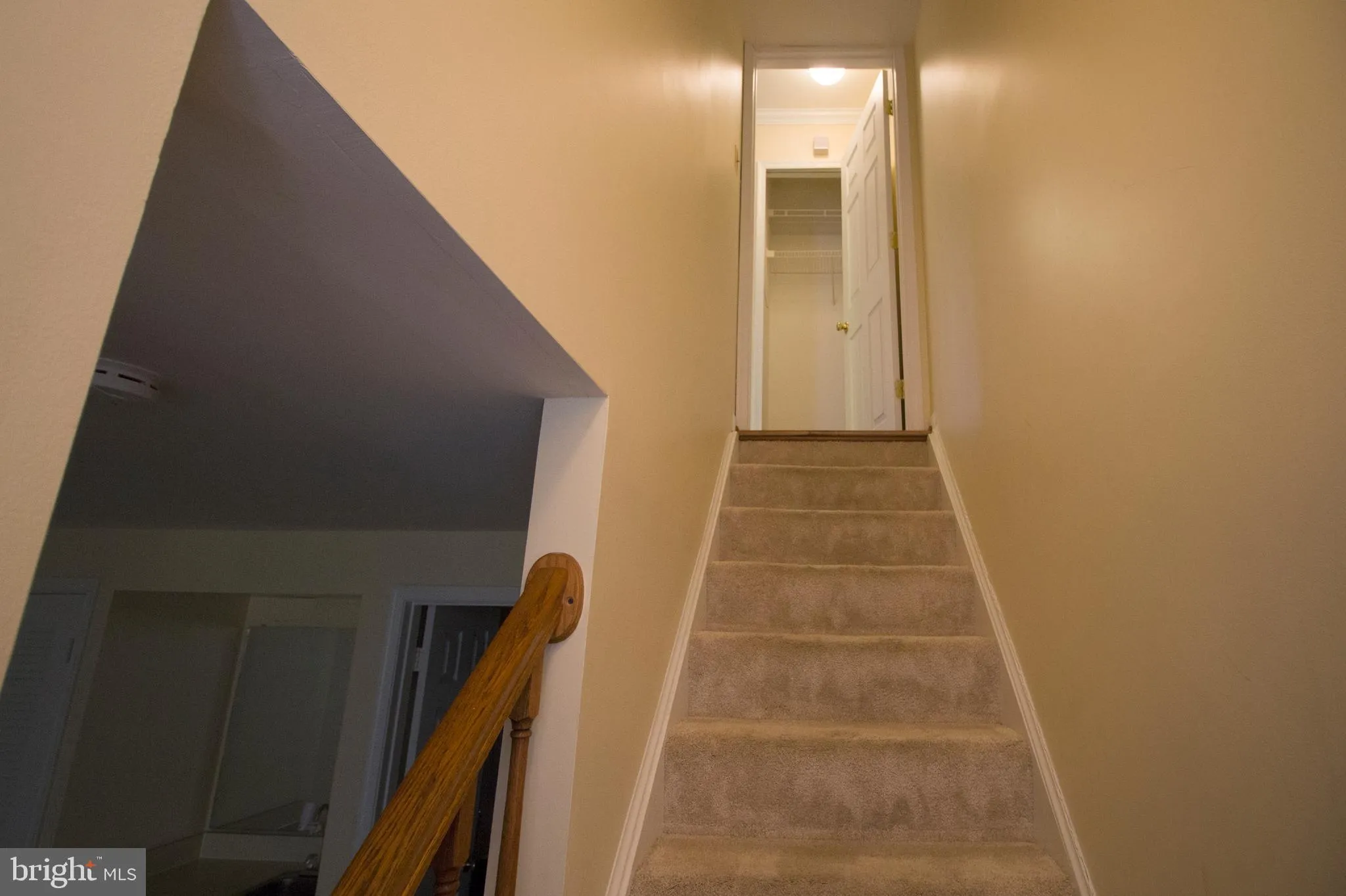 Alexandria, Virginia 22315, United States, 3 Bedrooms Bedrooms, ,4 BathroomsBathrooms,Residential,Active,122781