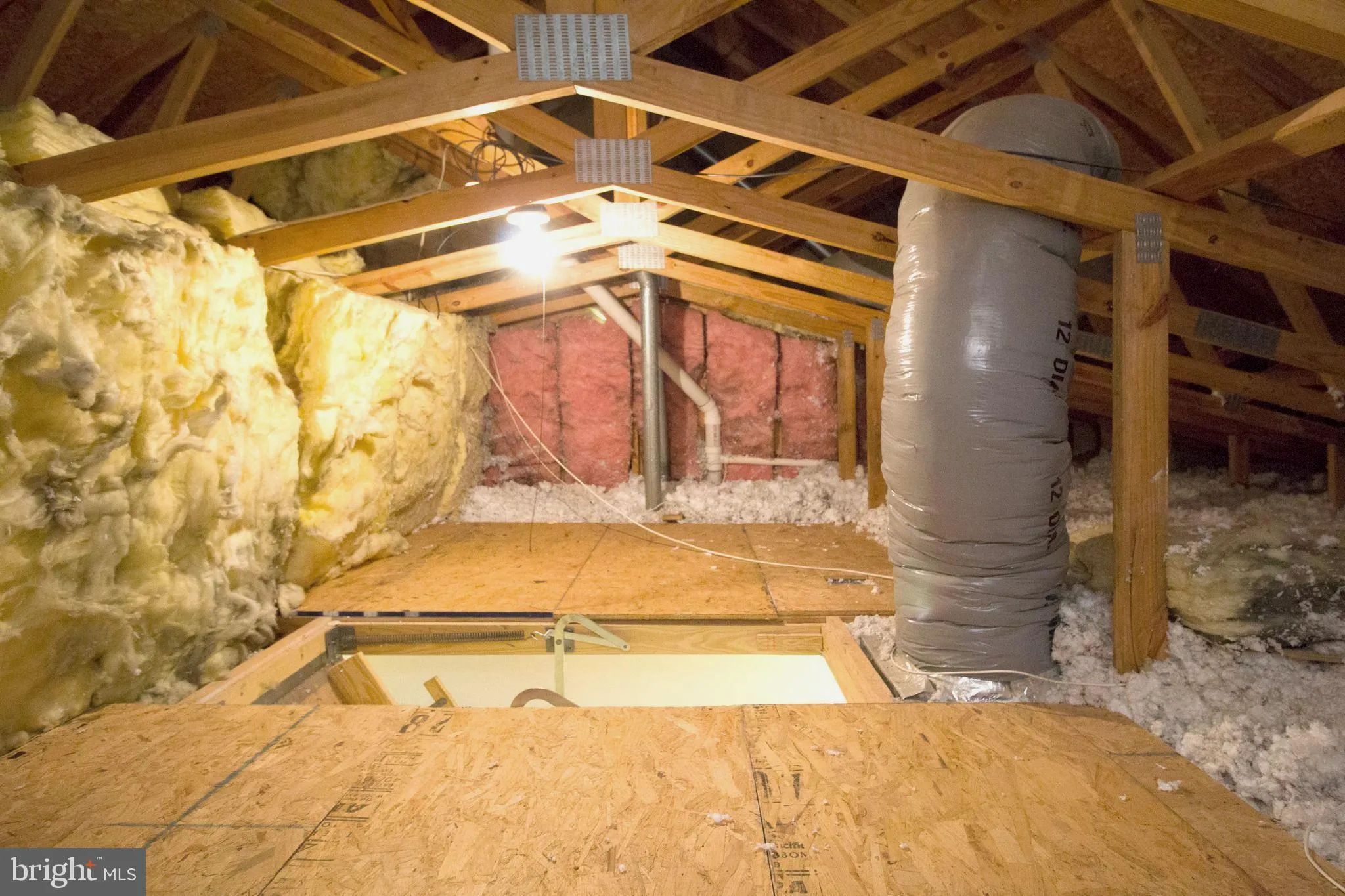 Alexandria, Virginia 22315, United States, 3 Bedrooms Bedrooms, ,4 BathroomsBathrooms,Residential,Active,122781