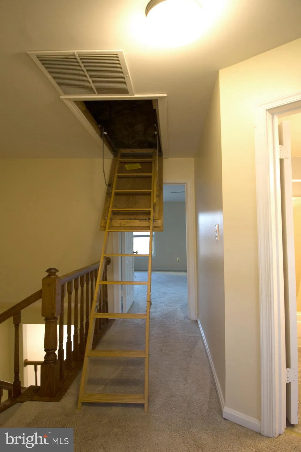 Alexandria, Virginia 22315, United States, 3 Bedrooms Bedrooms, ,4 BathroomsBathrooms,Residential,Active,122781