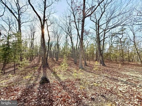 Vacant Land For Sale - Snickerdoodle Lane<br/> Grant County, LAHMANSVILLE, WV 26731