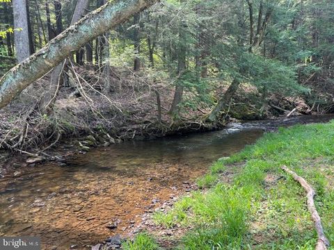 Vacant Land For Sale - Clear Creek Road<br/> Cameron County, EMPORIUM, PA 15834