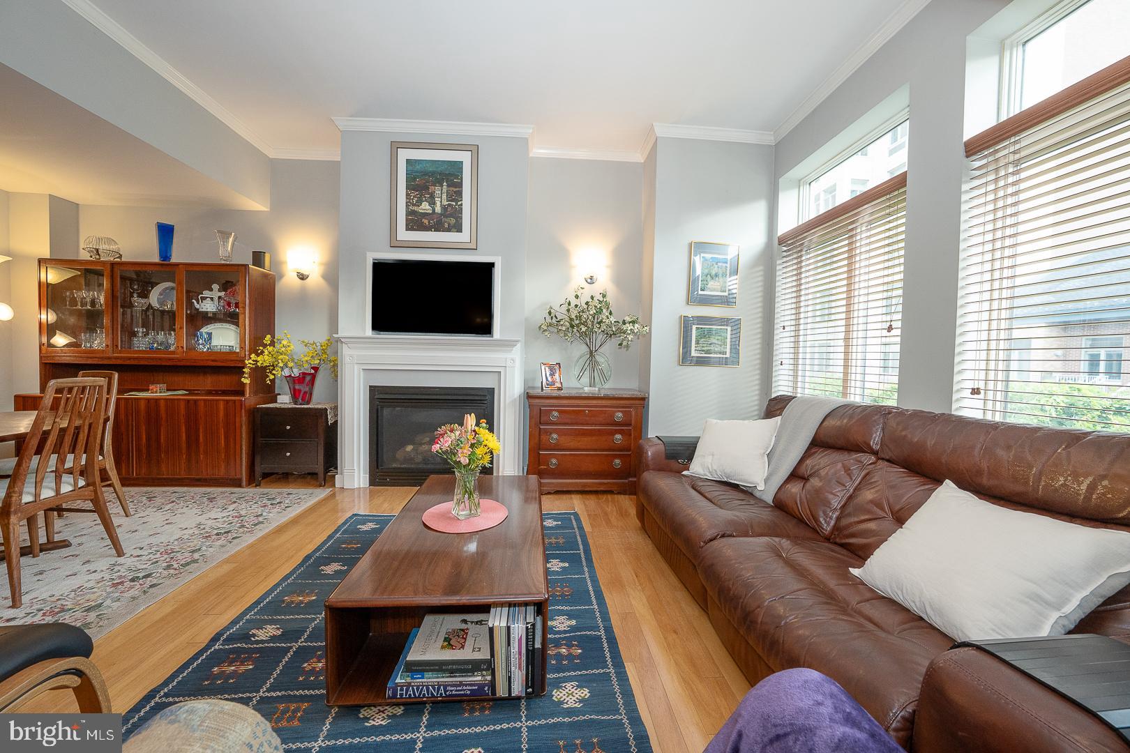 ART MUSEUM AREA - Residential