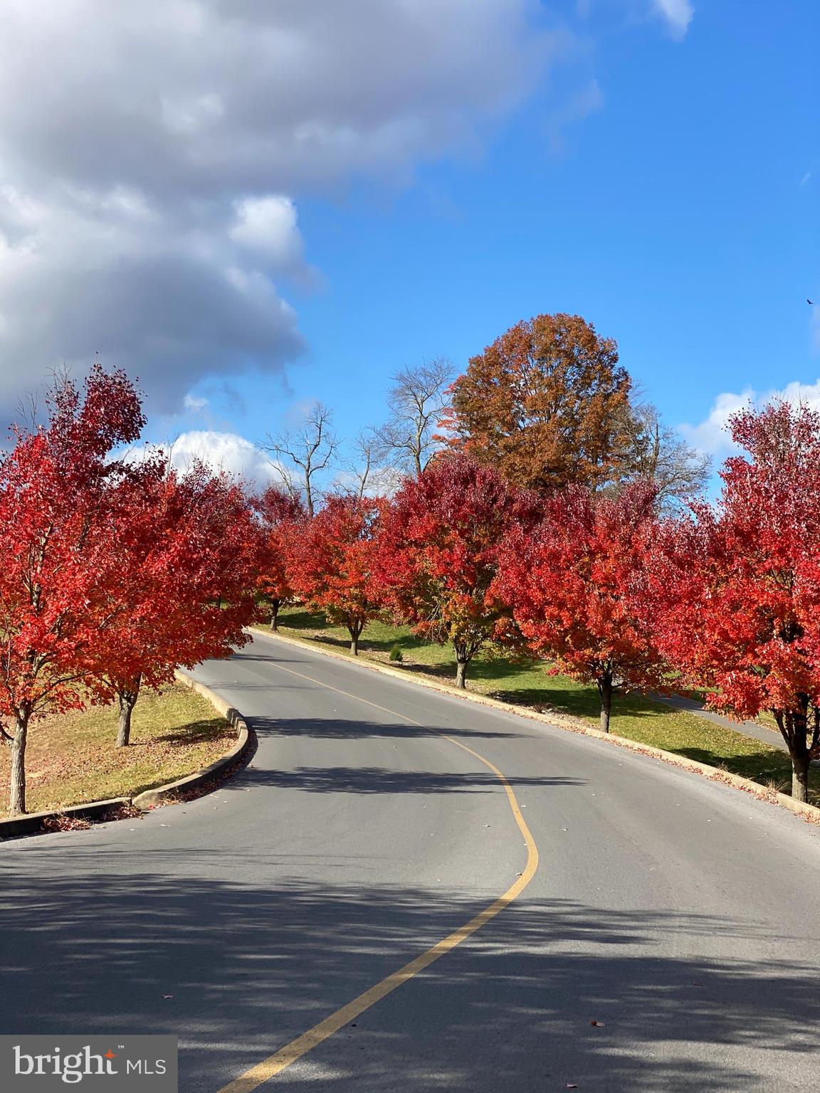 THE WOODS - Residential