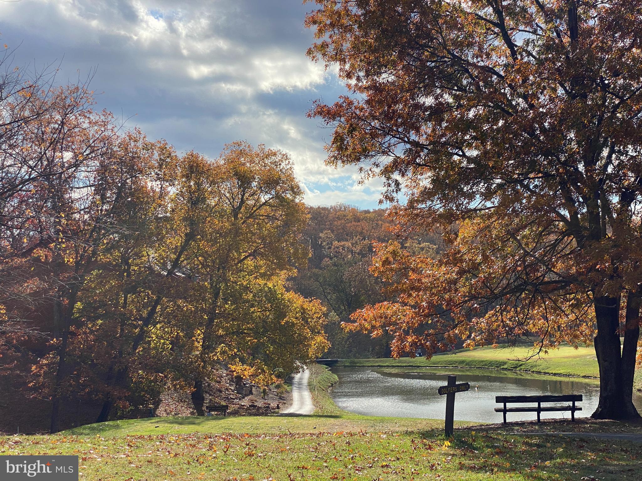 THE WOODS - Residential