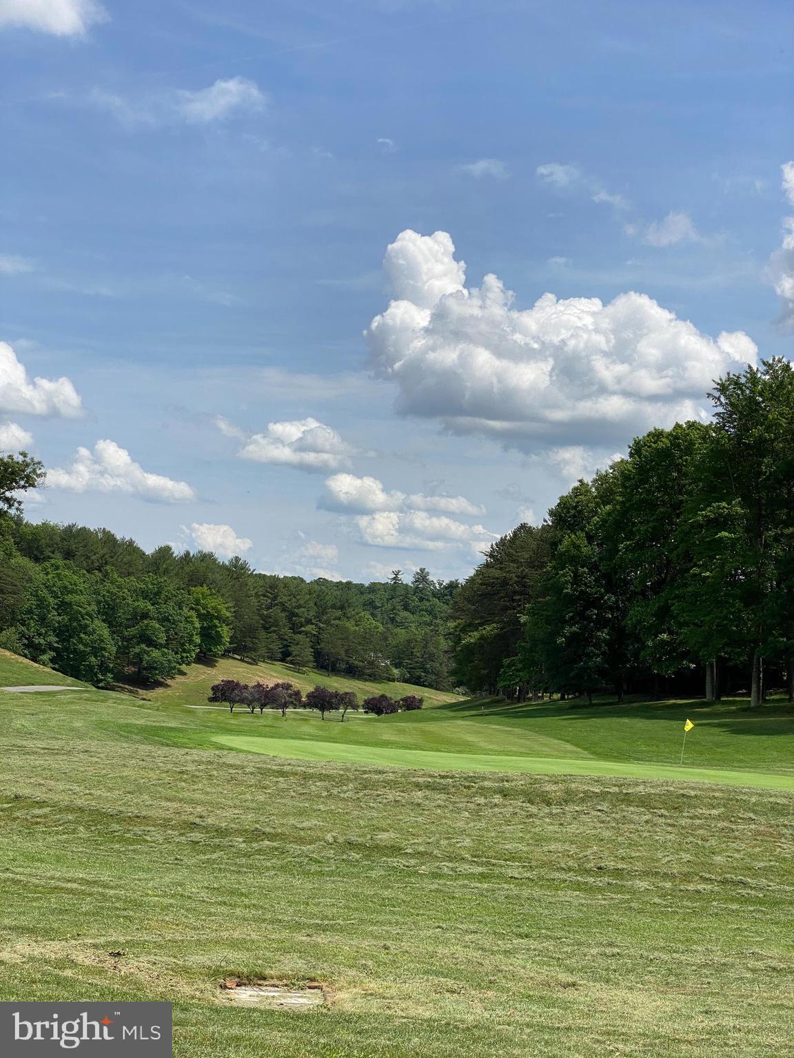 THE WOODS - Residential