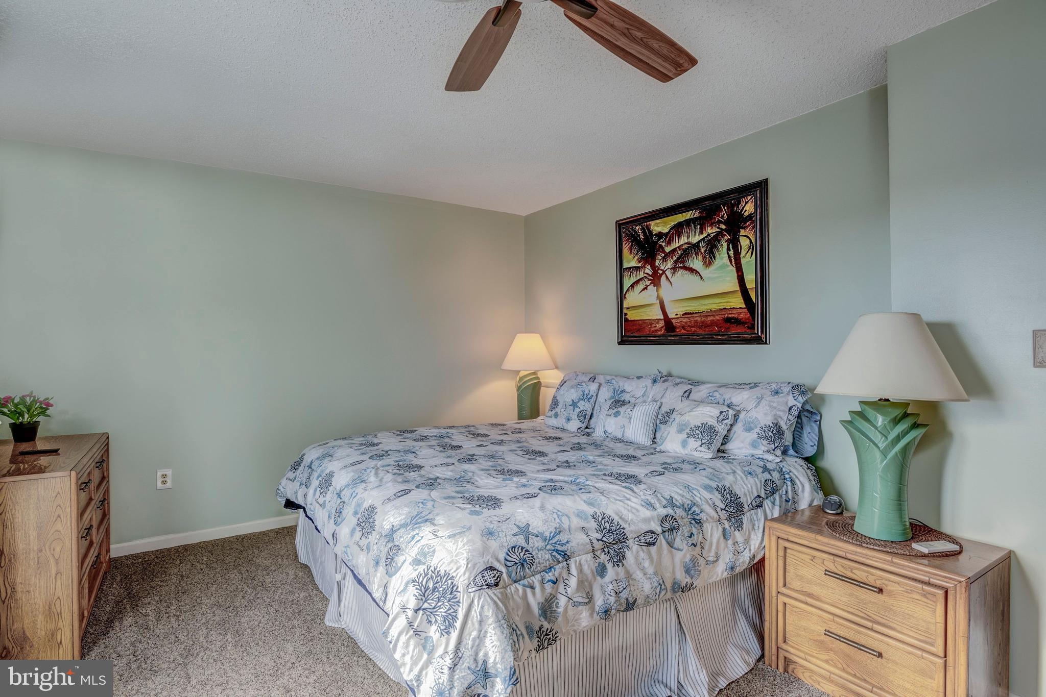 CAINE WOODS - Residential