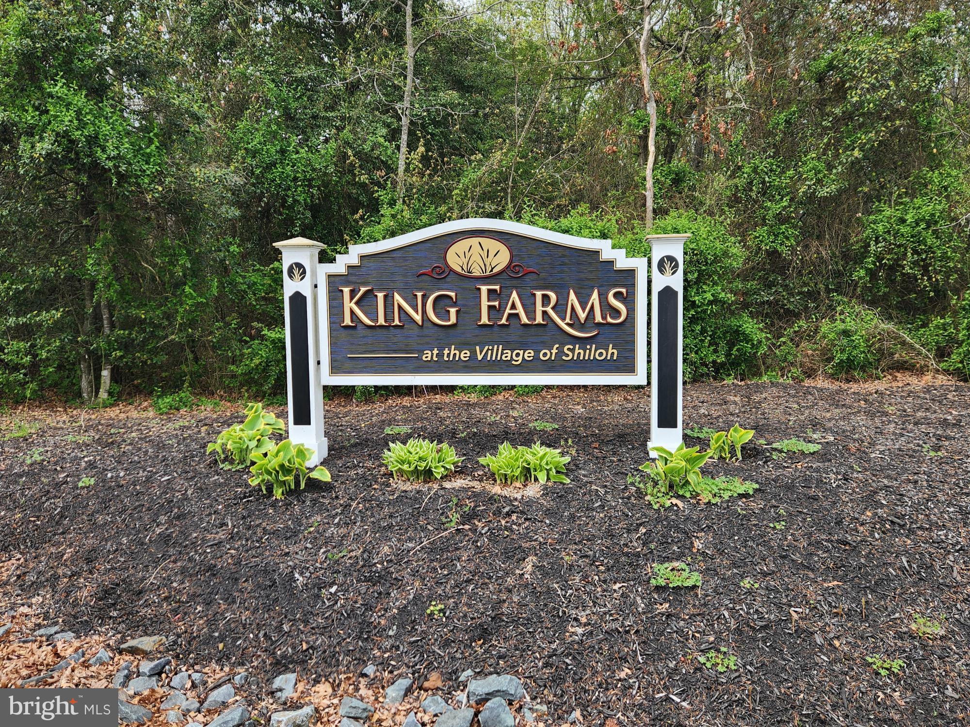 KING FARMS - Residential