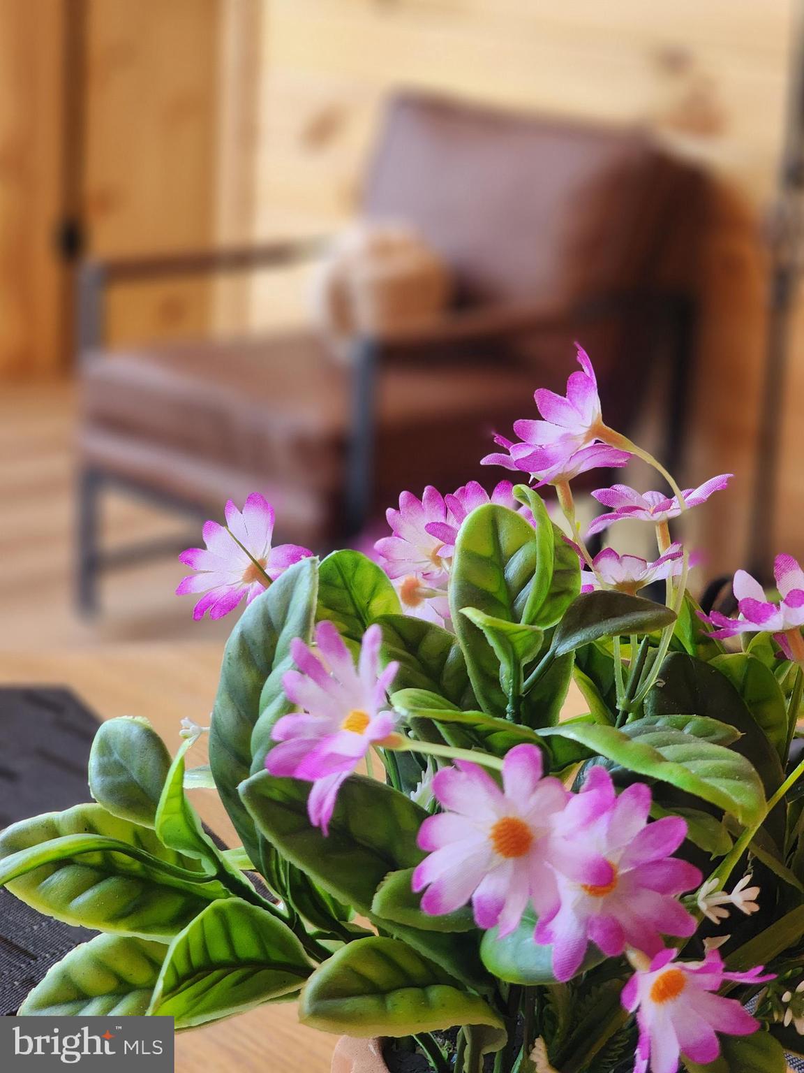 COLONIAL VILLAGE - Residential