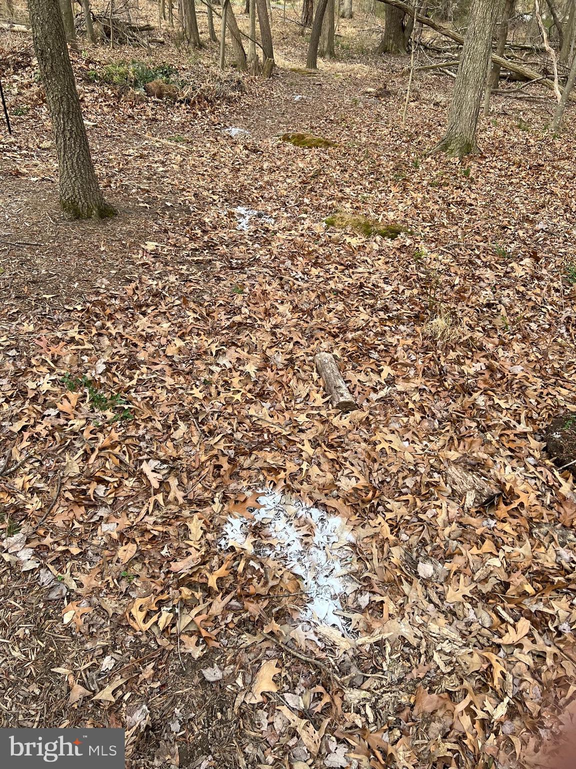 FOREST RIDGE - Residential