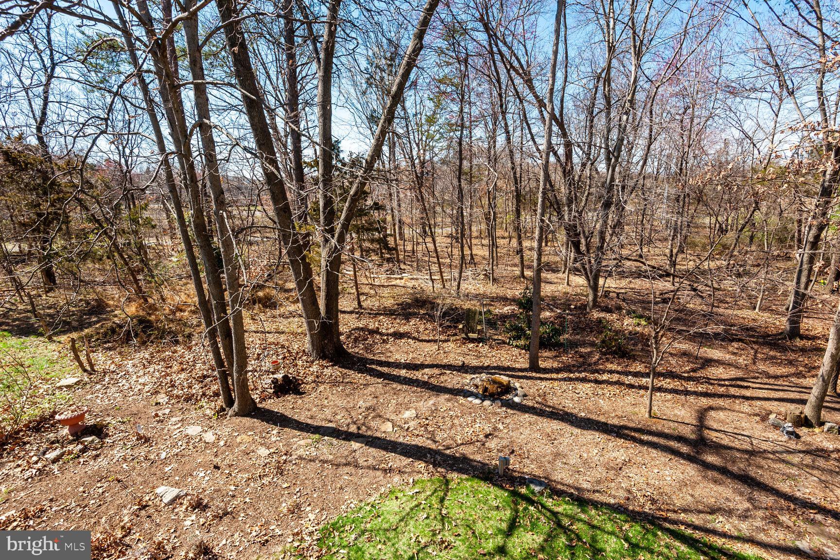 FOREST RIDGE - Residential