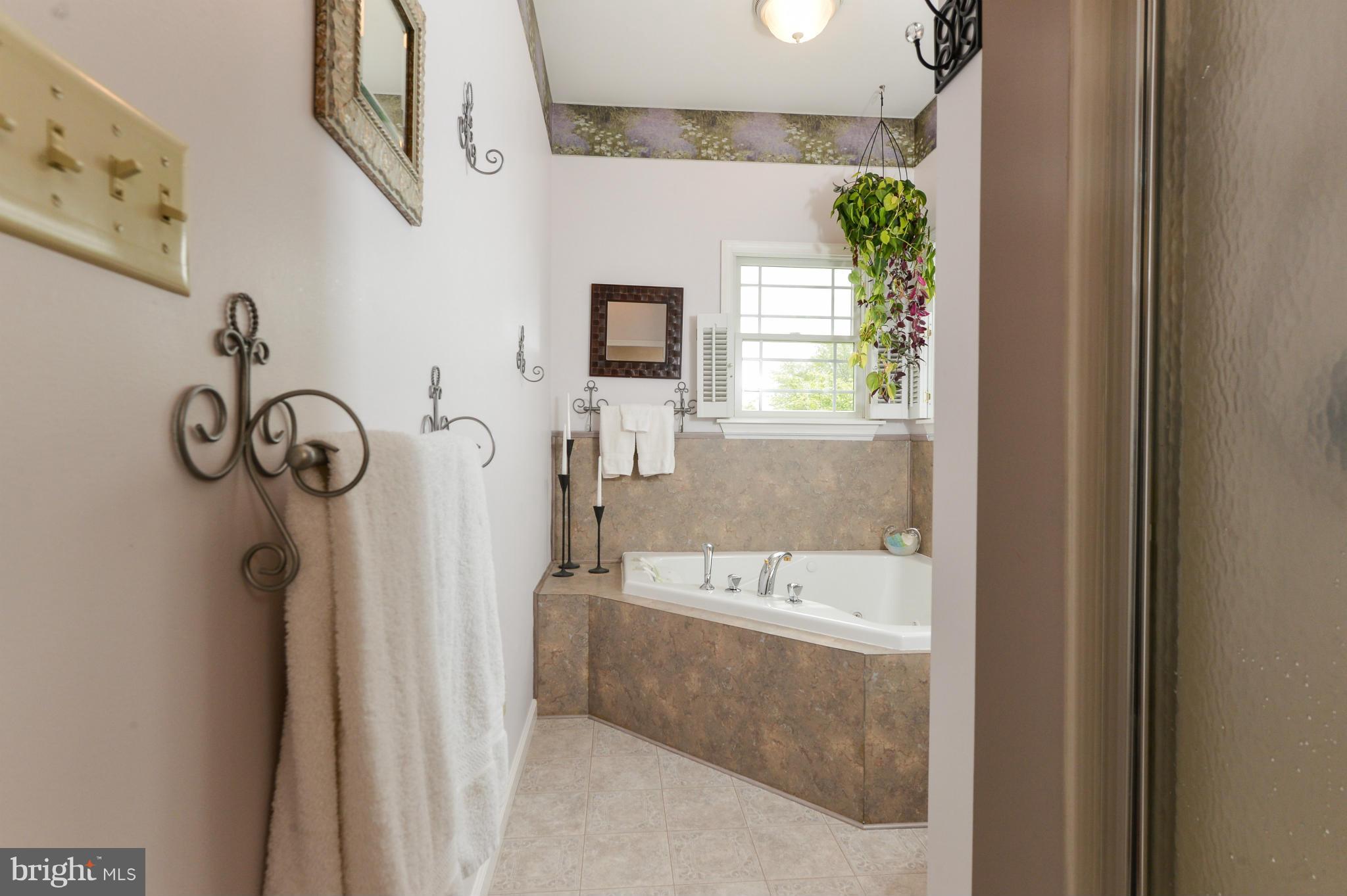 ST. JOHNS VISTA - Farm