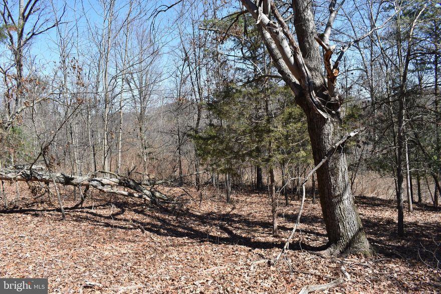 Private and wooded property just outside Hedgesville off Route 9.  Buyer is responsible to perc test and well test as needed.  It can be a contingency period in the offer.  Sellers are not local to manage.  There may be one on file at the Health Dept, but we are not sure.  Property is unrestricted and has a small mountain stream on it.  This is beautiful land and could be a great escape!