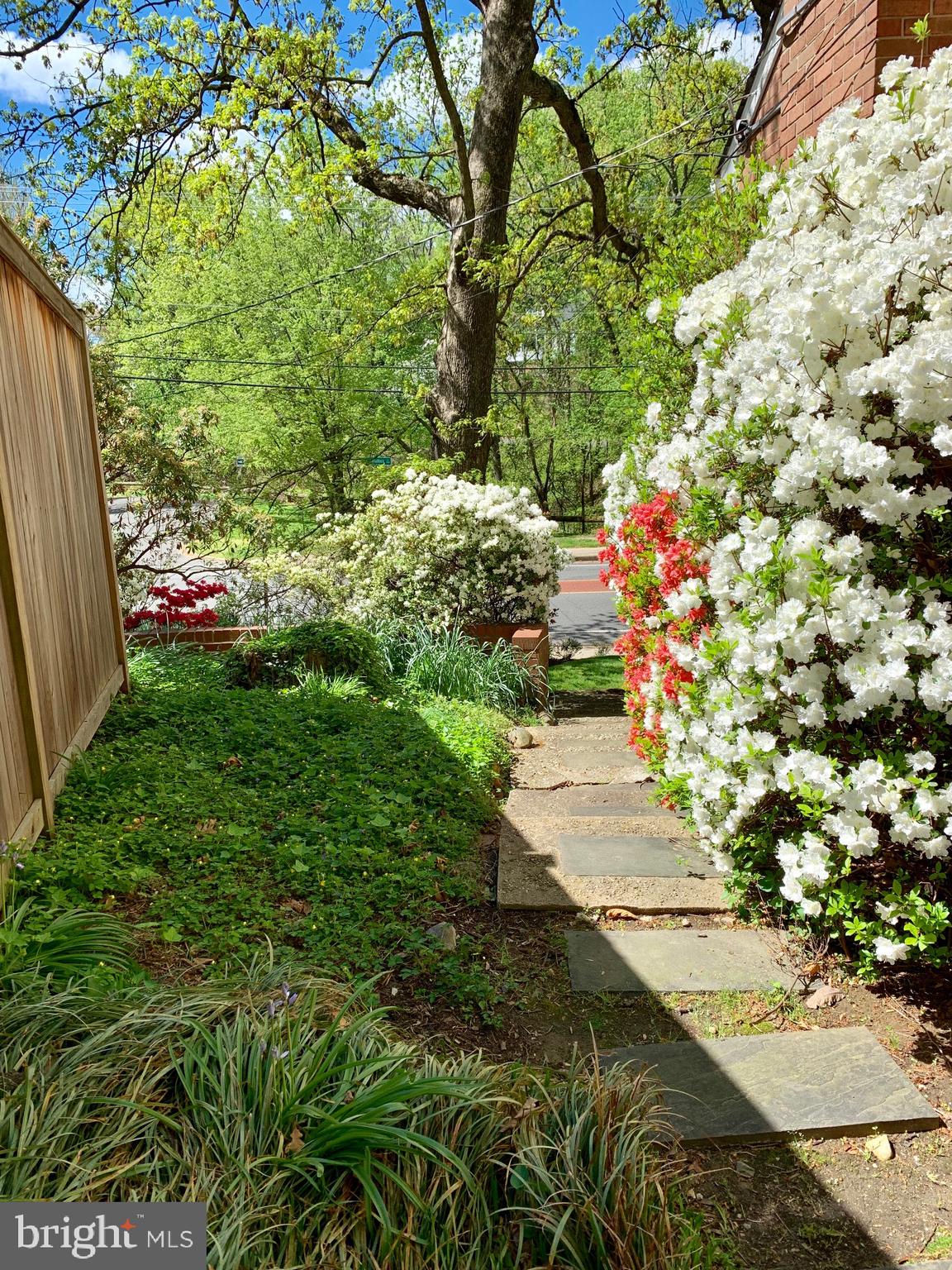 BRADDOCK HEIGHTS - Residential