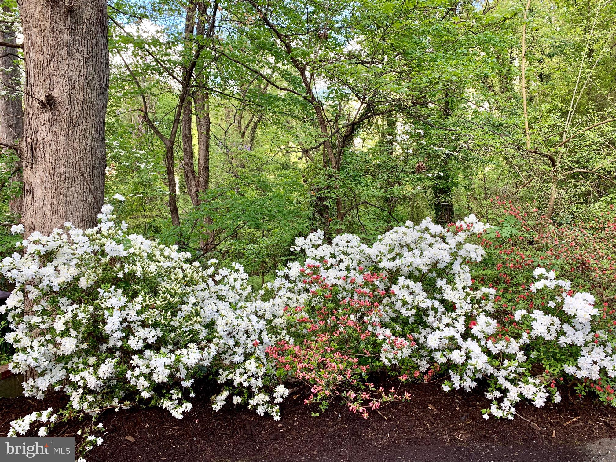 BRADDOCK HEIGHTS - Residential