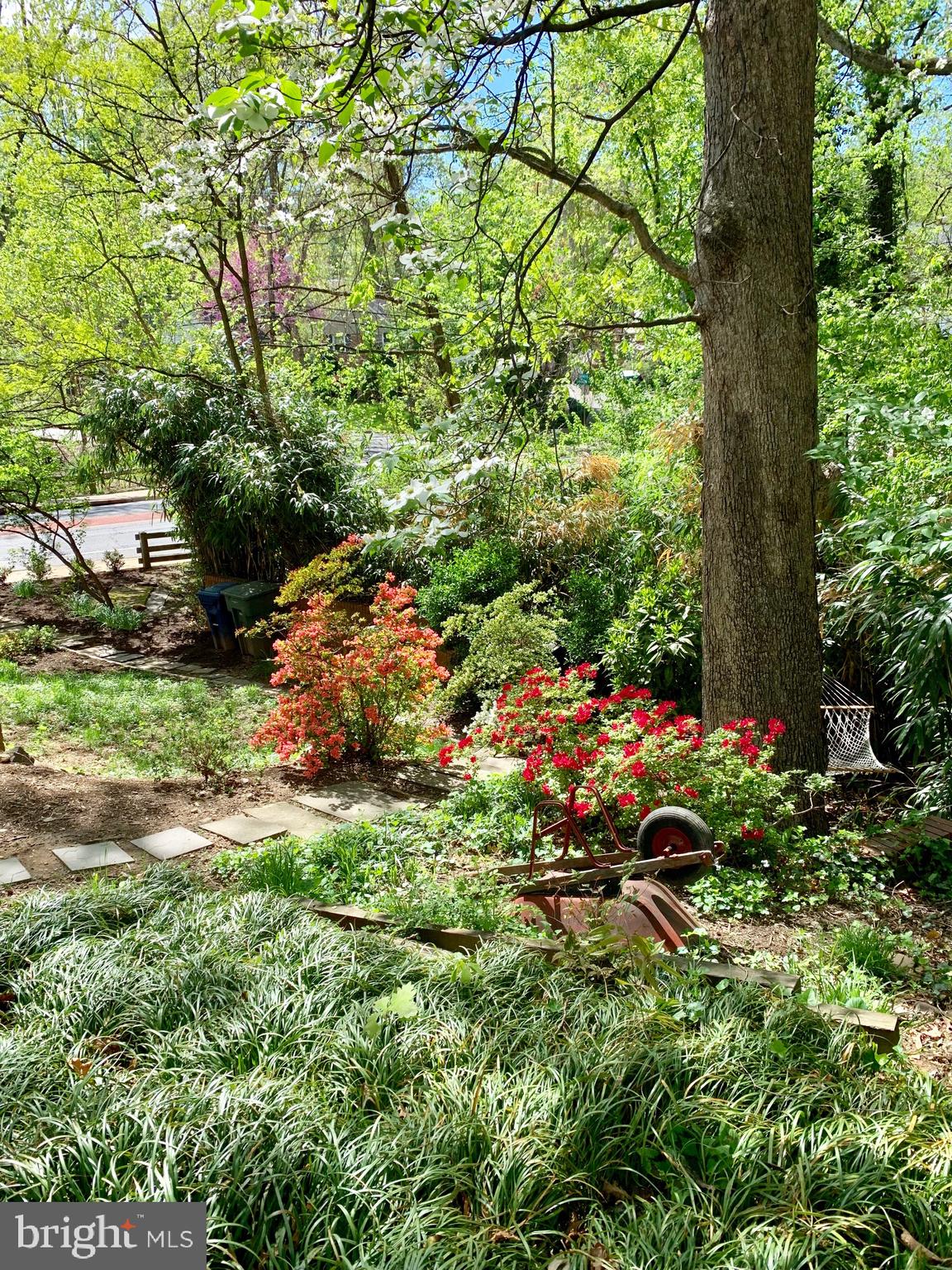 BRADDOCK HEIGHTS - Residential