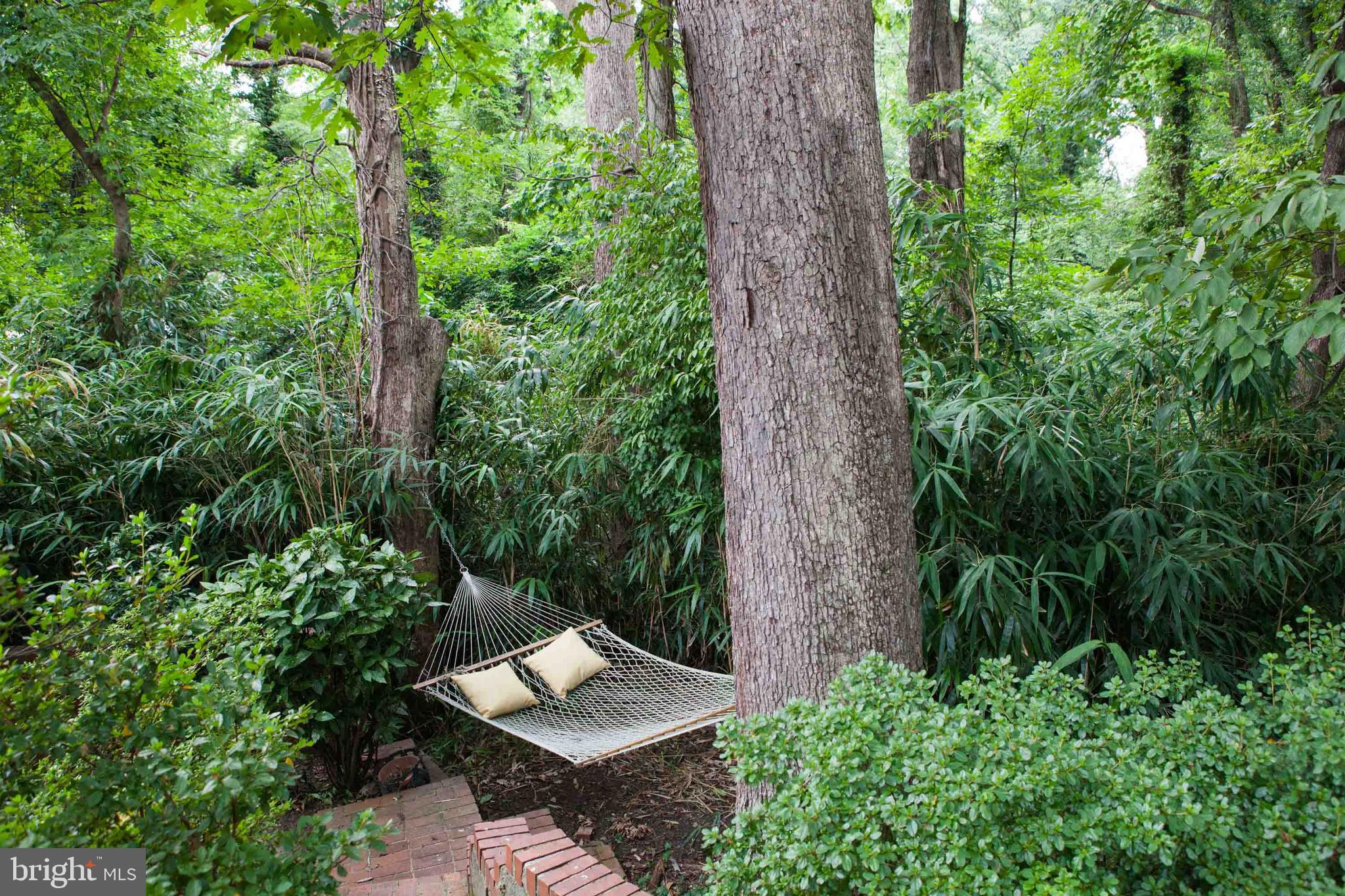 BRADDOCK HEIGHTS - Residential