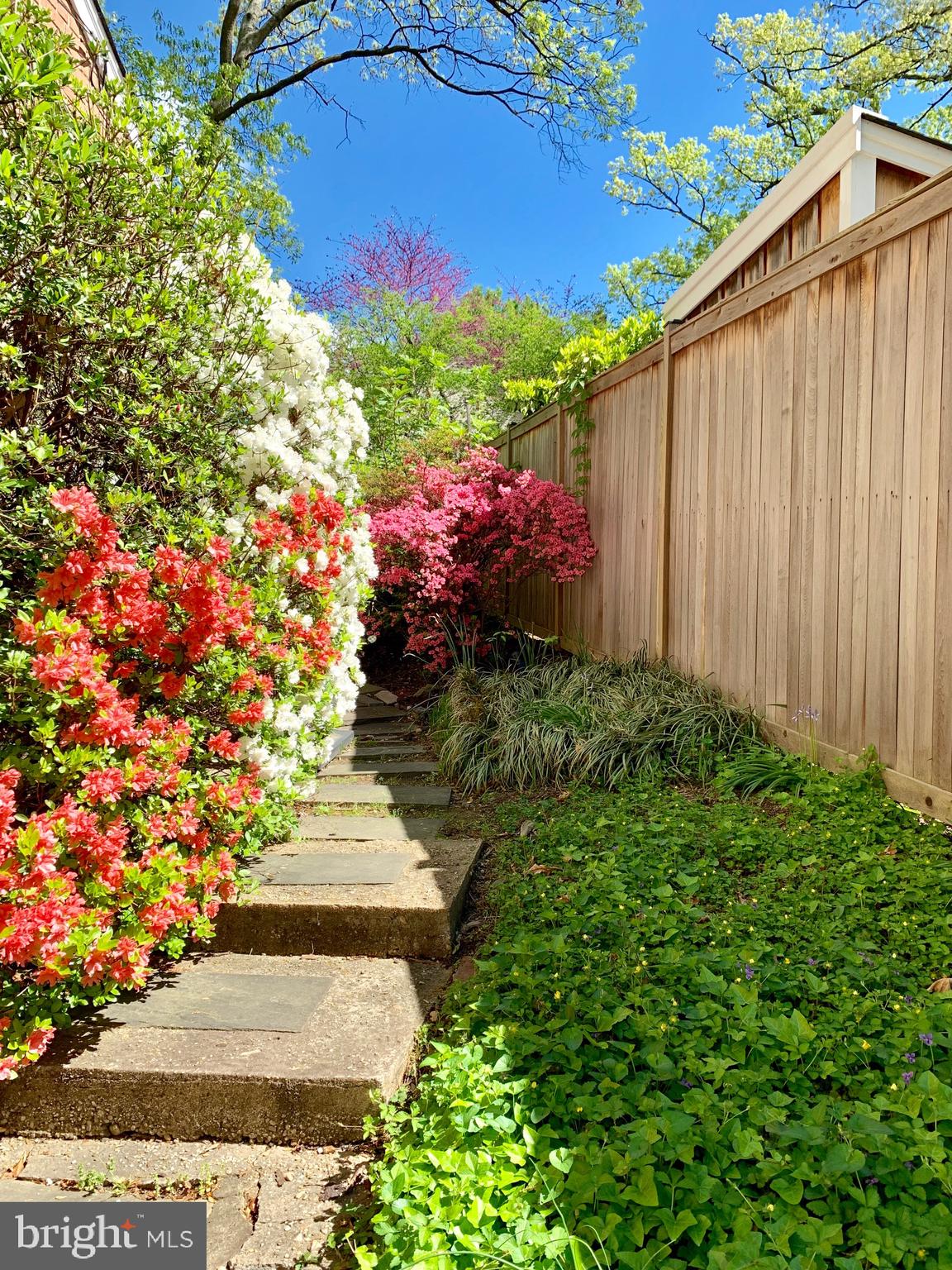 BRADDOCK HEIGHTS - Residential