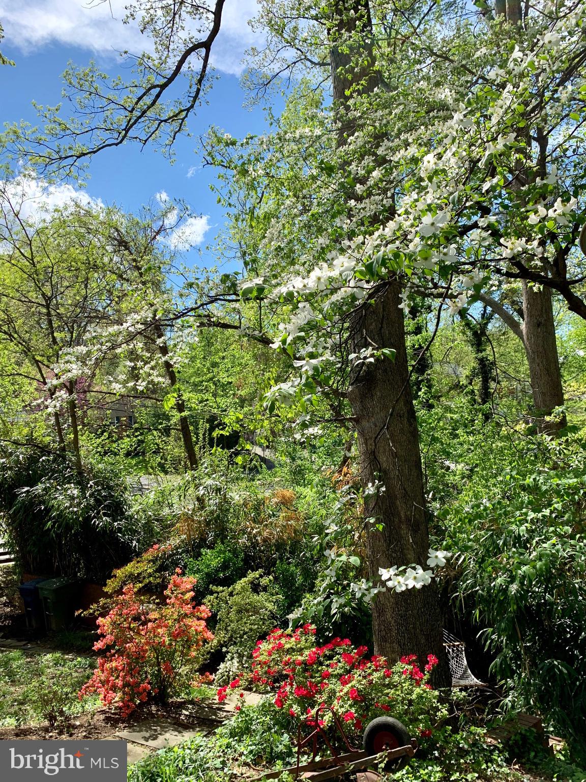 BRADDOCK HEIGHTS - Residential