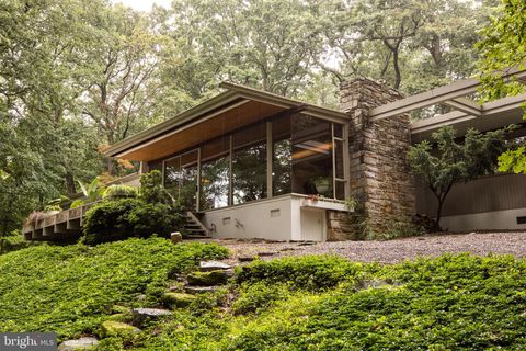 Mid-Century Modern Richard Neutra Coveney House - philadwellphia.com