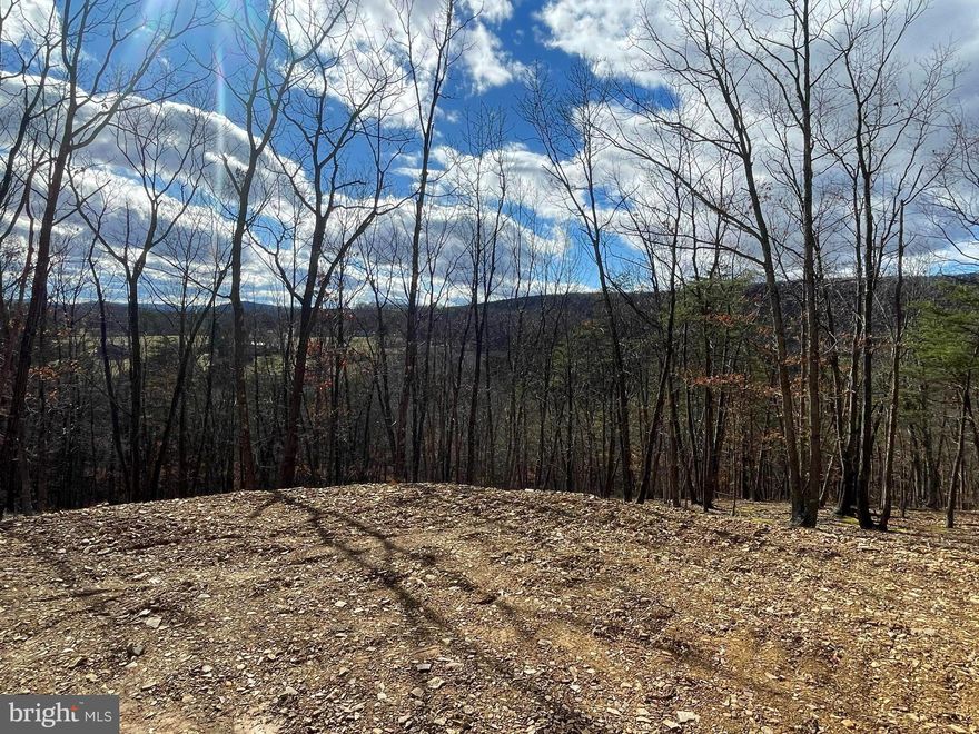 Who wouldn't want it all? Privacy and seclusion, but only minutes from schools, restaurants, and town! Whether your building your dream home or your weekend getaway, this one checks all the boxes! 10+ unrestricted acres, perc approved septic, new driveway, and right off a state maintained road! What more could you ask for?  These types of lots do not come along often so do not miss you chance to come and escape the city life and grab your piece of West Virginia! Only 45 minutes from Winchester VA and two hours from DC!