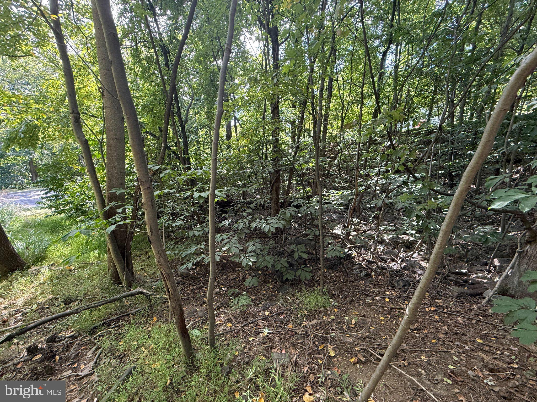 LOT 60 DOGWOOD ROAD