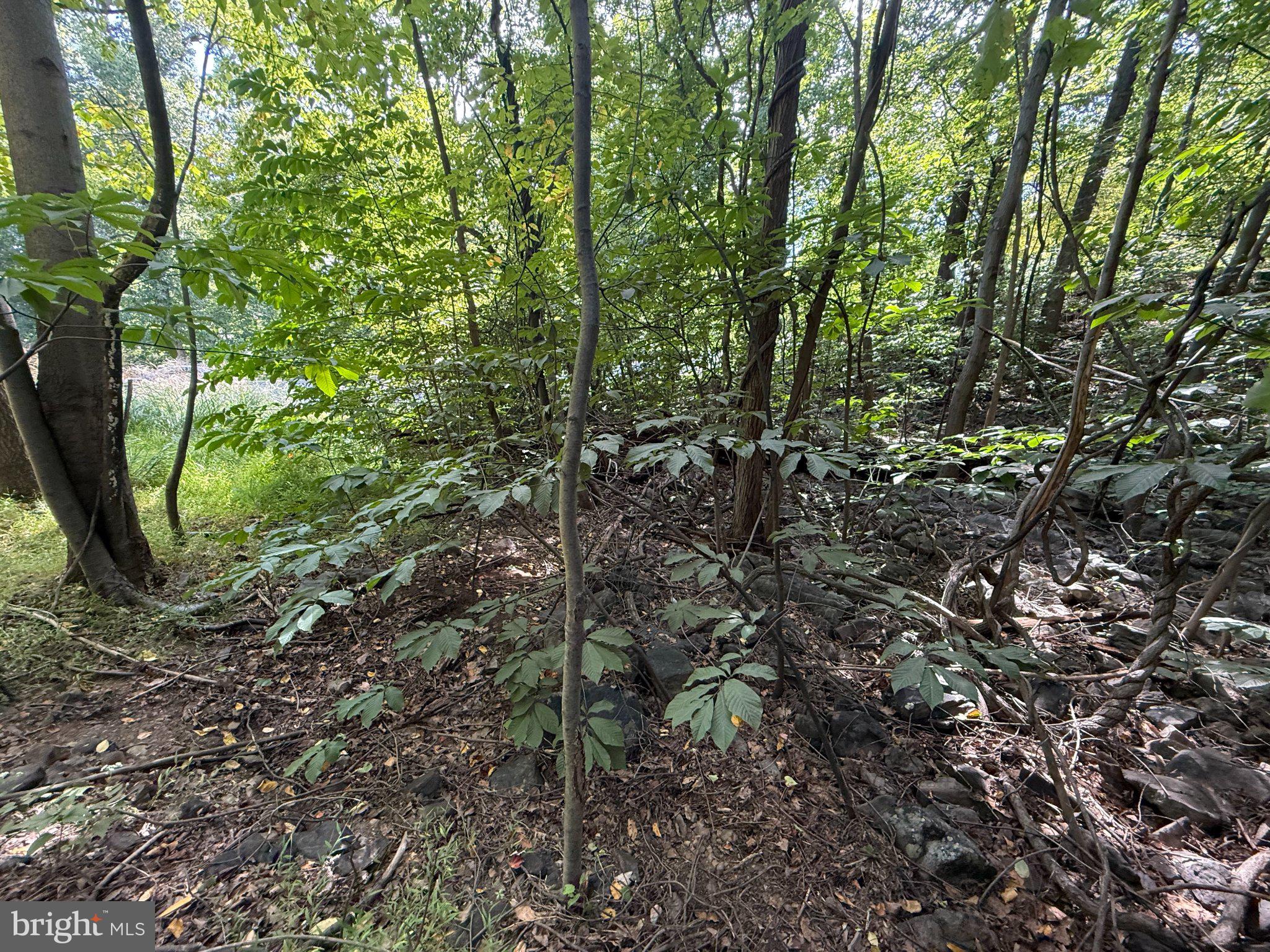 LOT 60 DOGWOOD ROAD