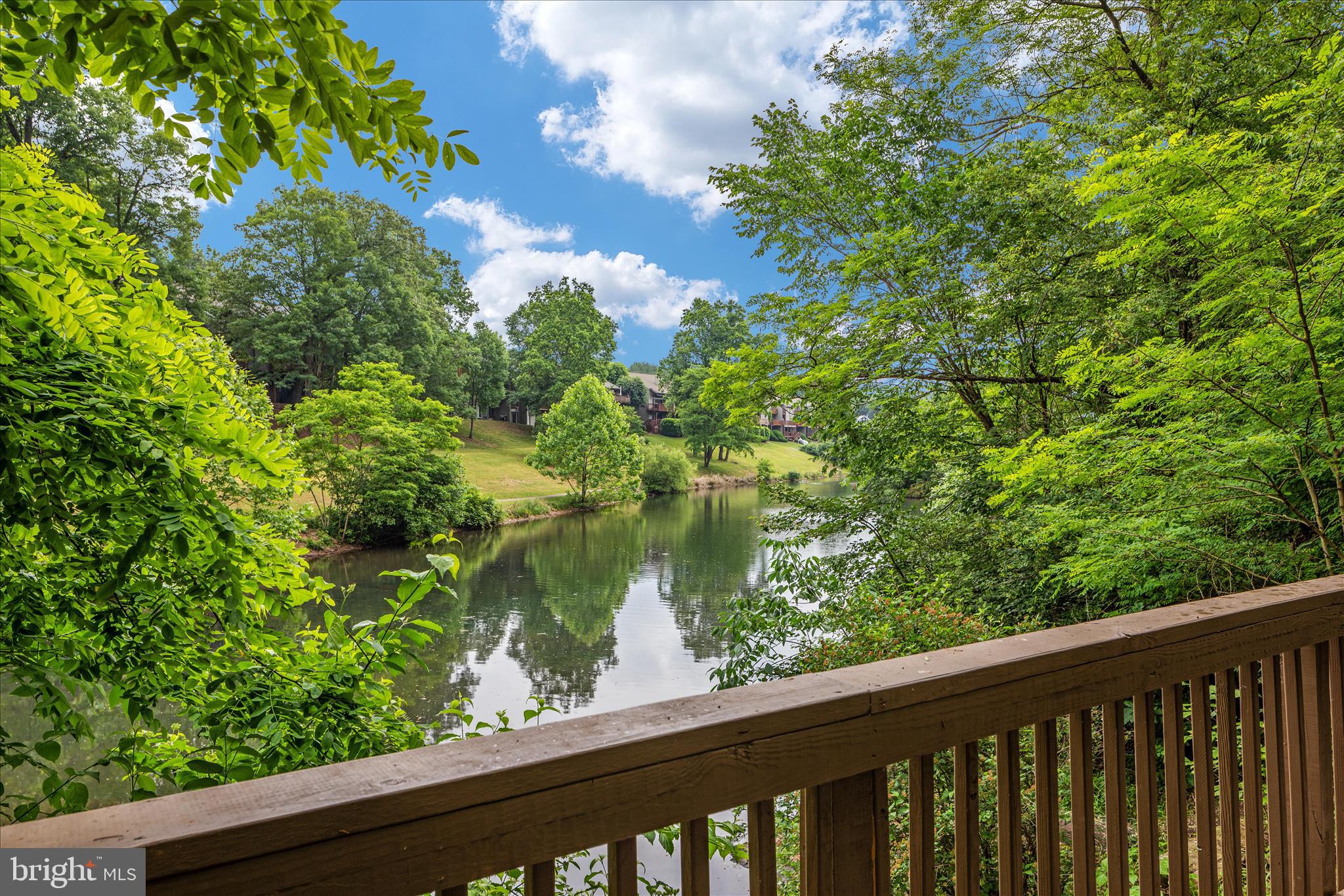 THE WOODS - Residential