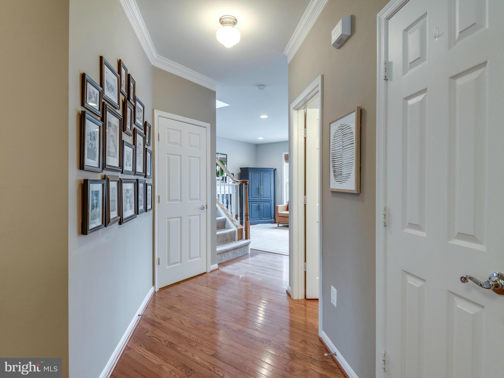 BELMONT GREENE - Residential